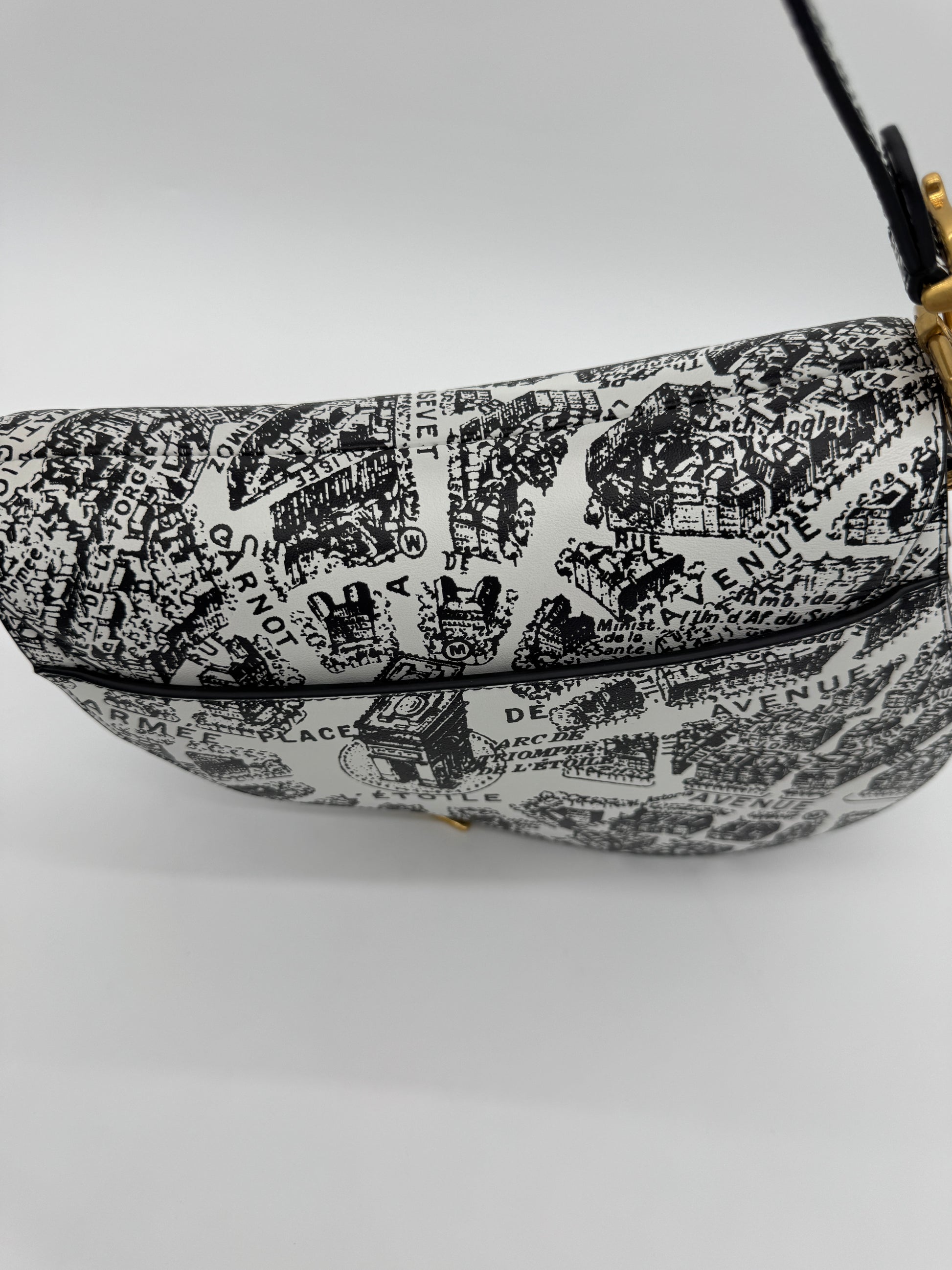 Christian Dior Plan De Paris Saddle Bag