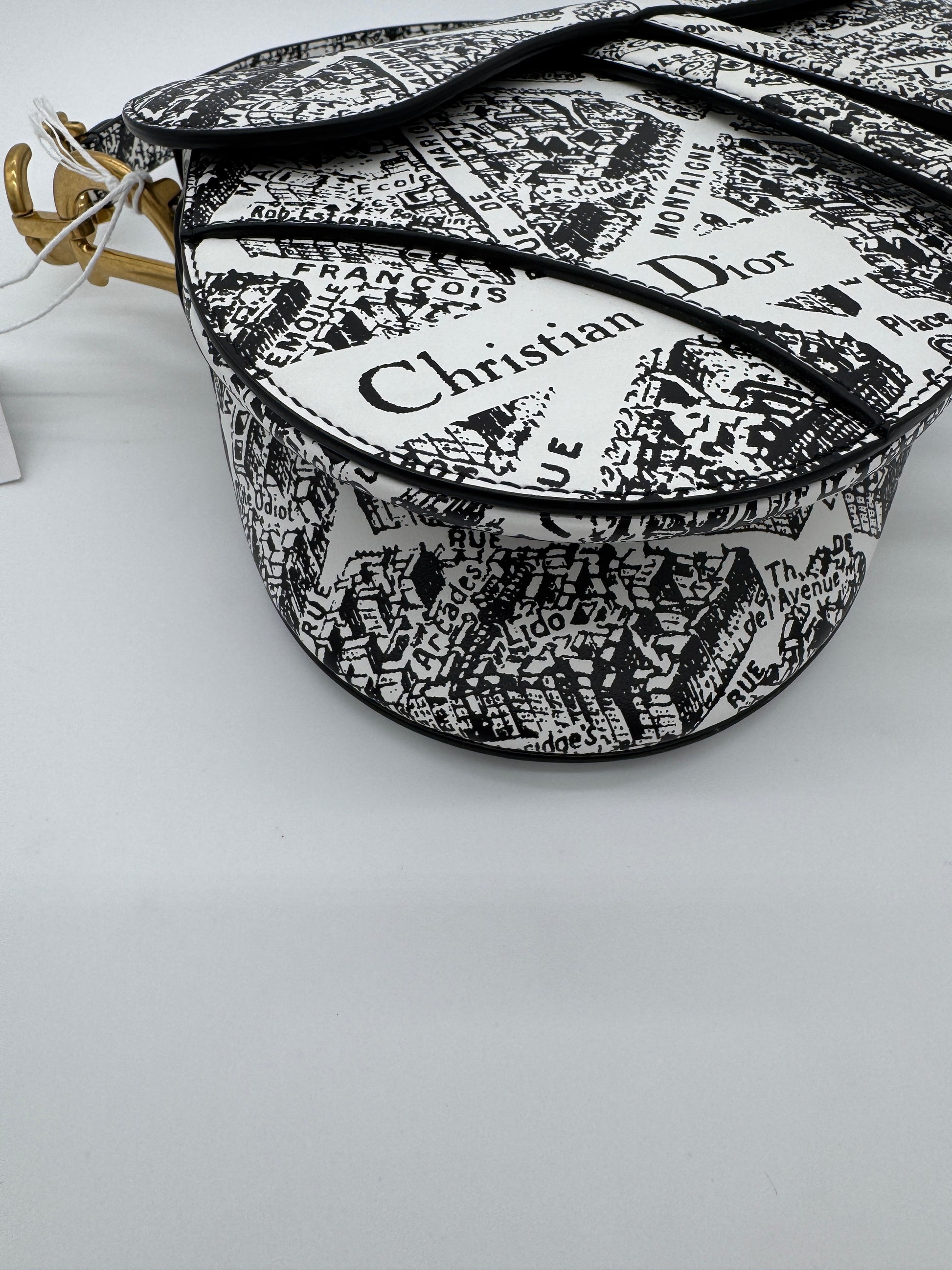 Christian Dior Plan De Paris Saddle Bag