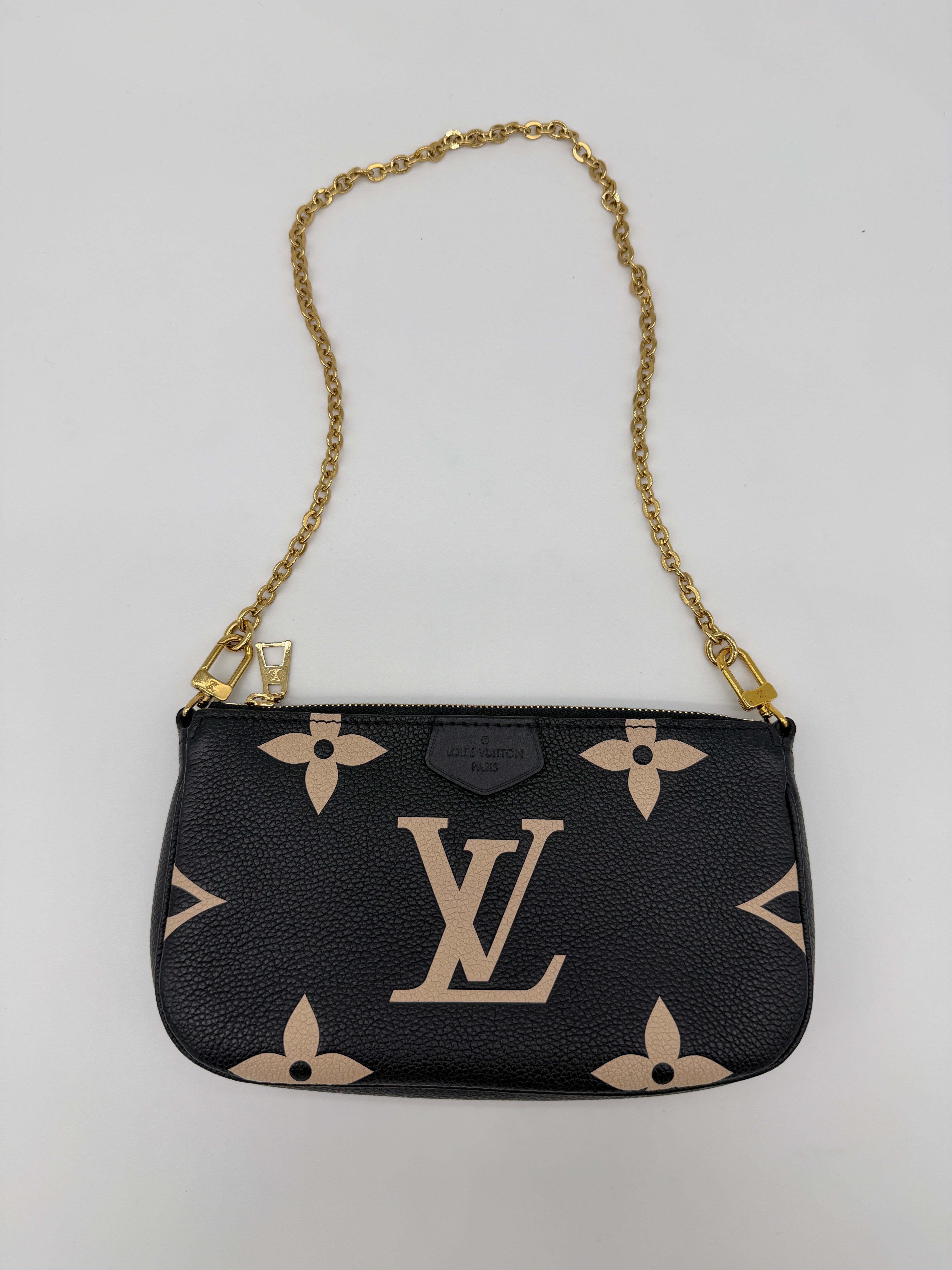 Louis Vuitton Bicolor Pochette