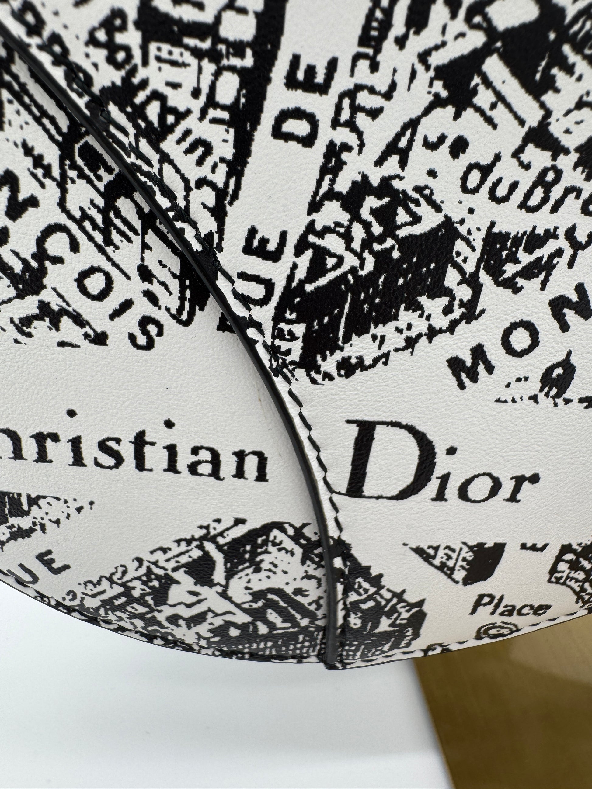 Christian Dior Plan De Paris Saddle Bag