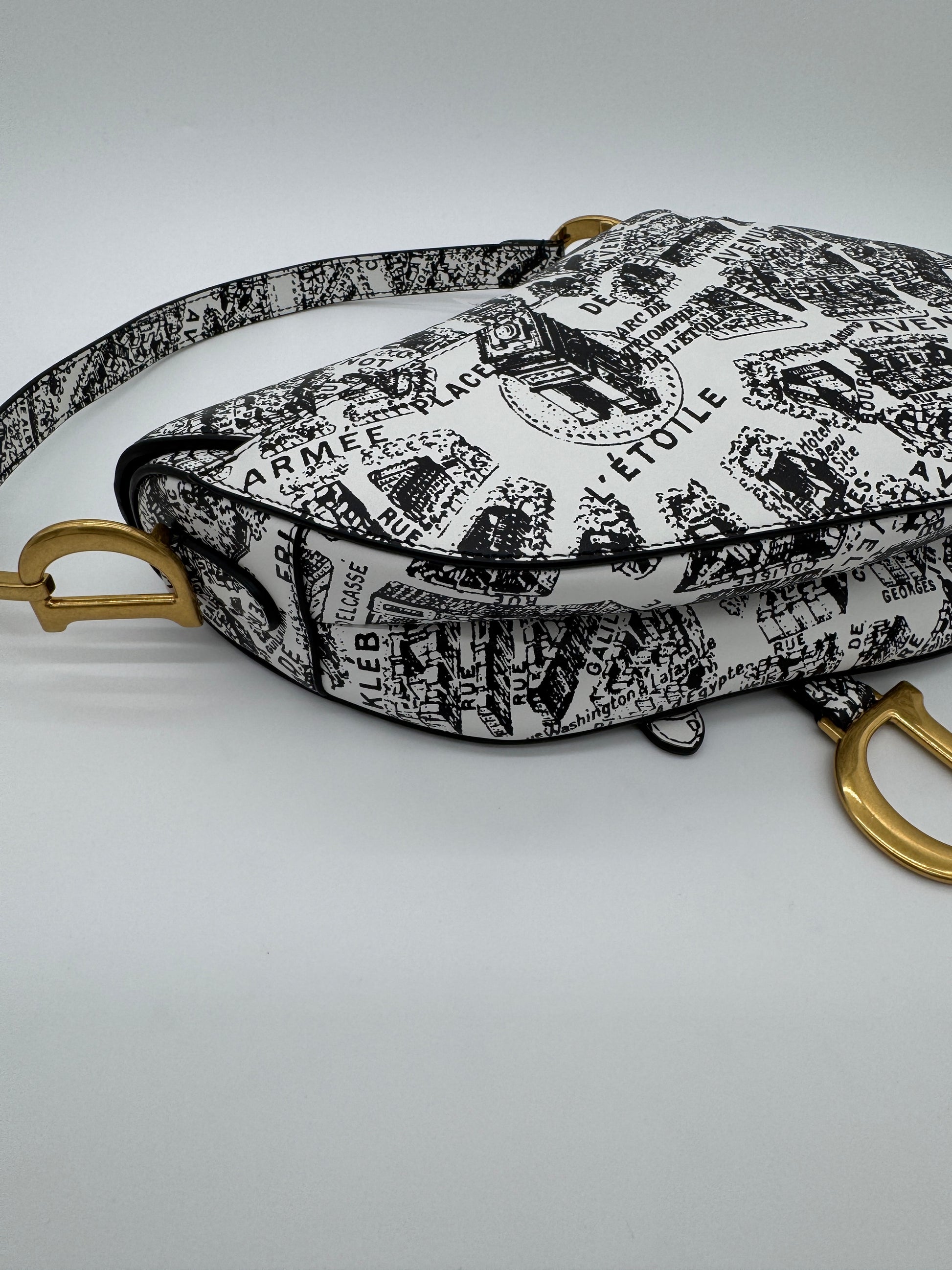 Christian Dior Plan De Paris Saddle Bag