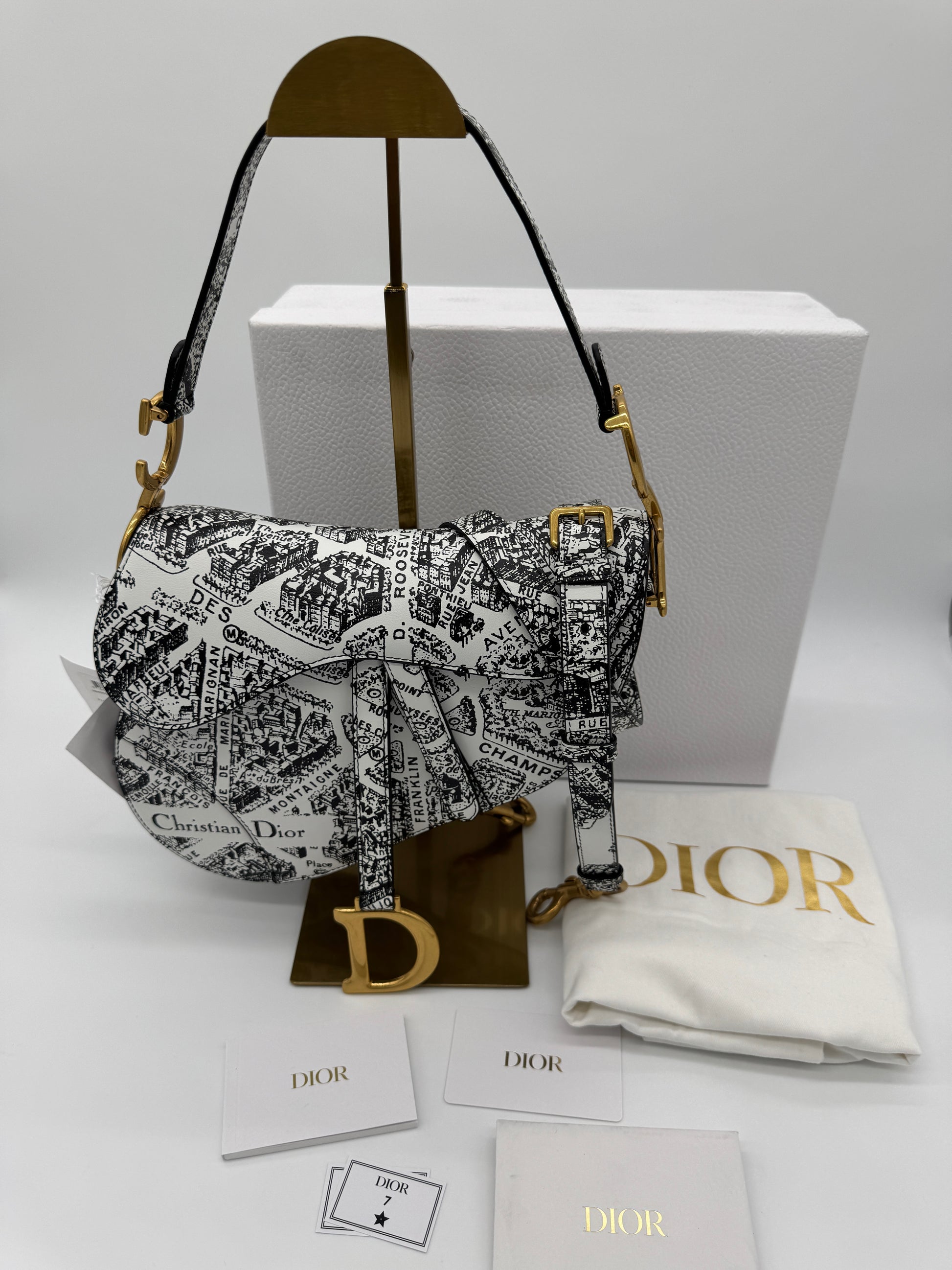 Christian Dior Plan De Paris Saddle Bag
