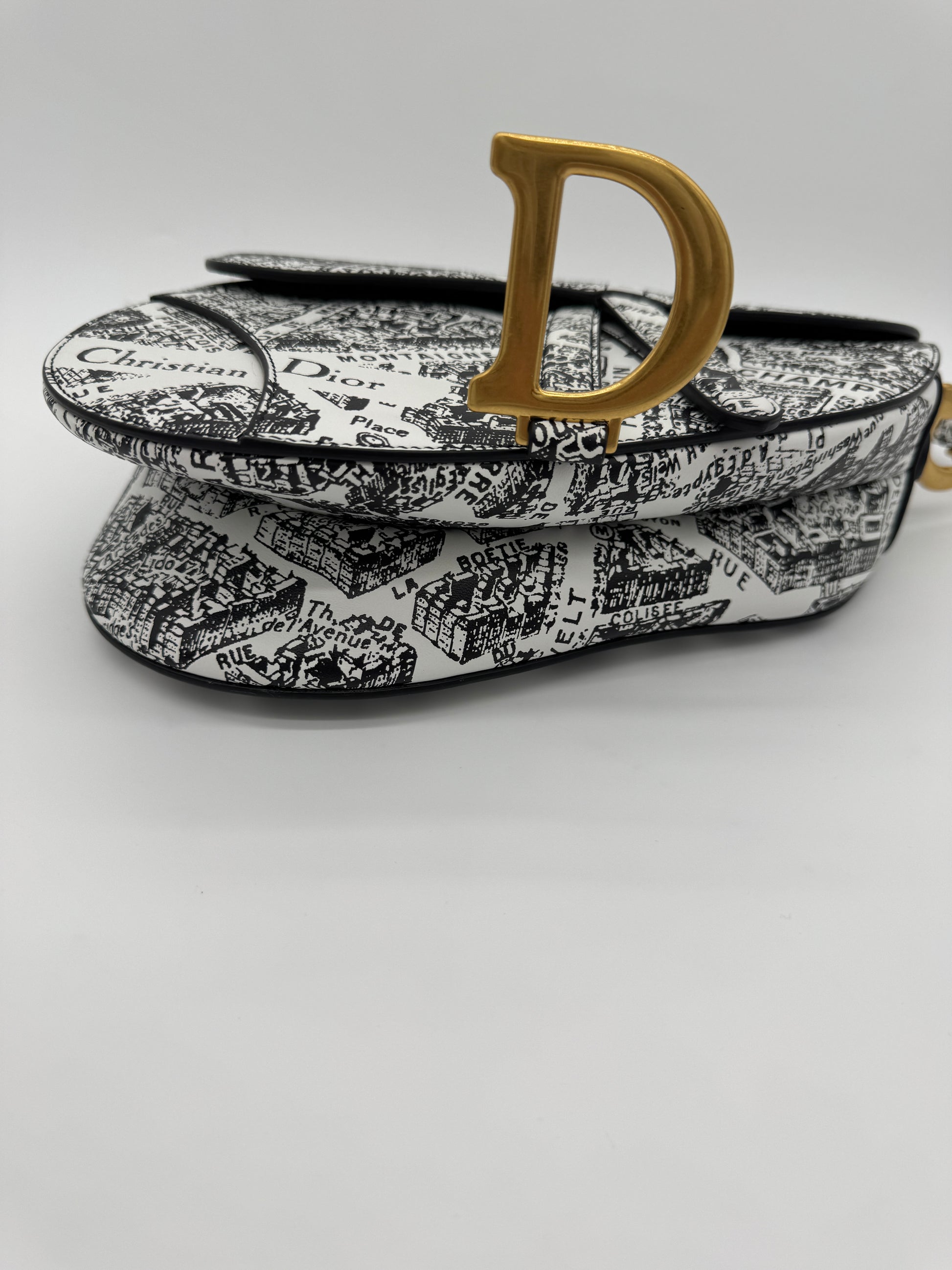 Christian Dior Plan De Paris Saddle Bag