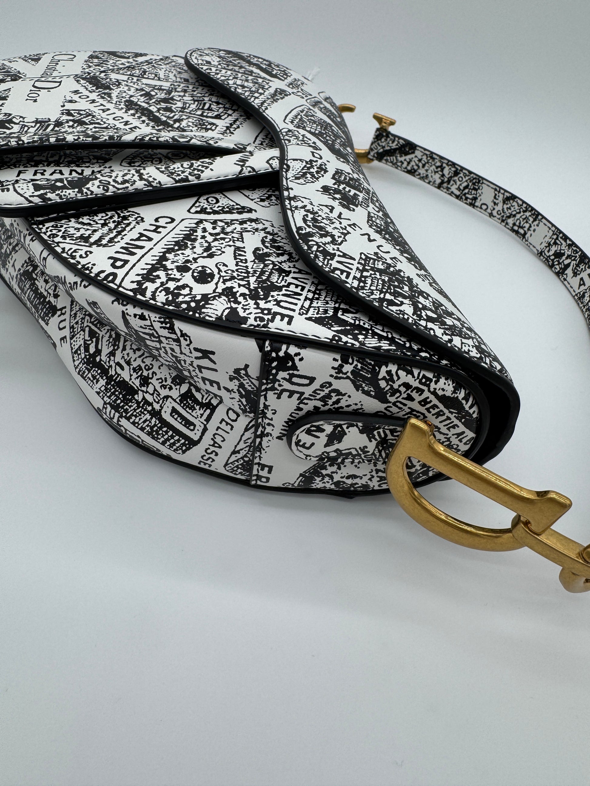 Christian Dior Plan De Paris Saddle Bag