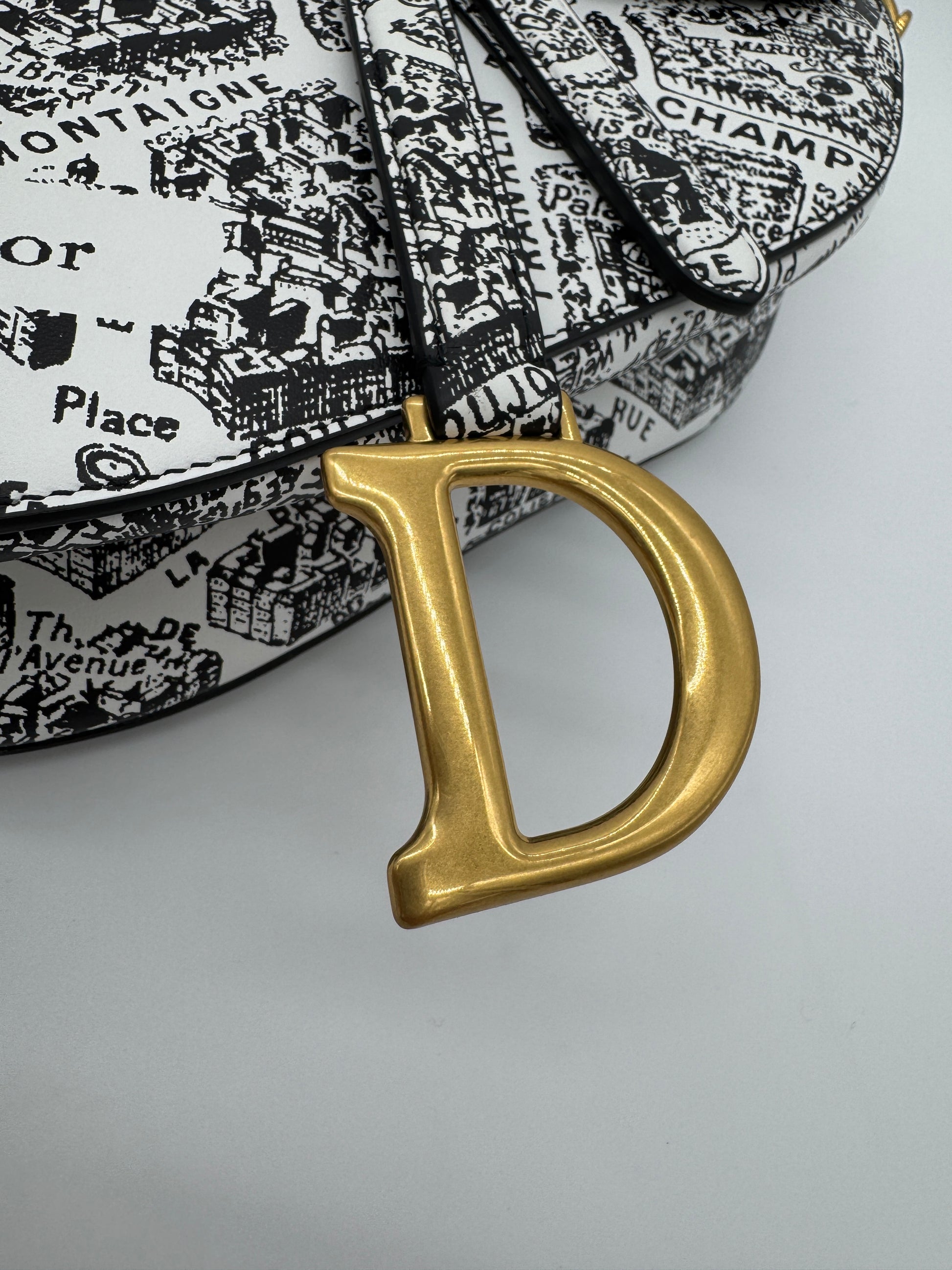 Christian Dior Plan De Paris Saddle Bag