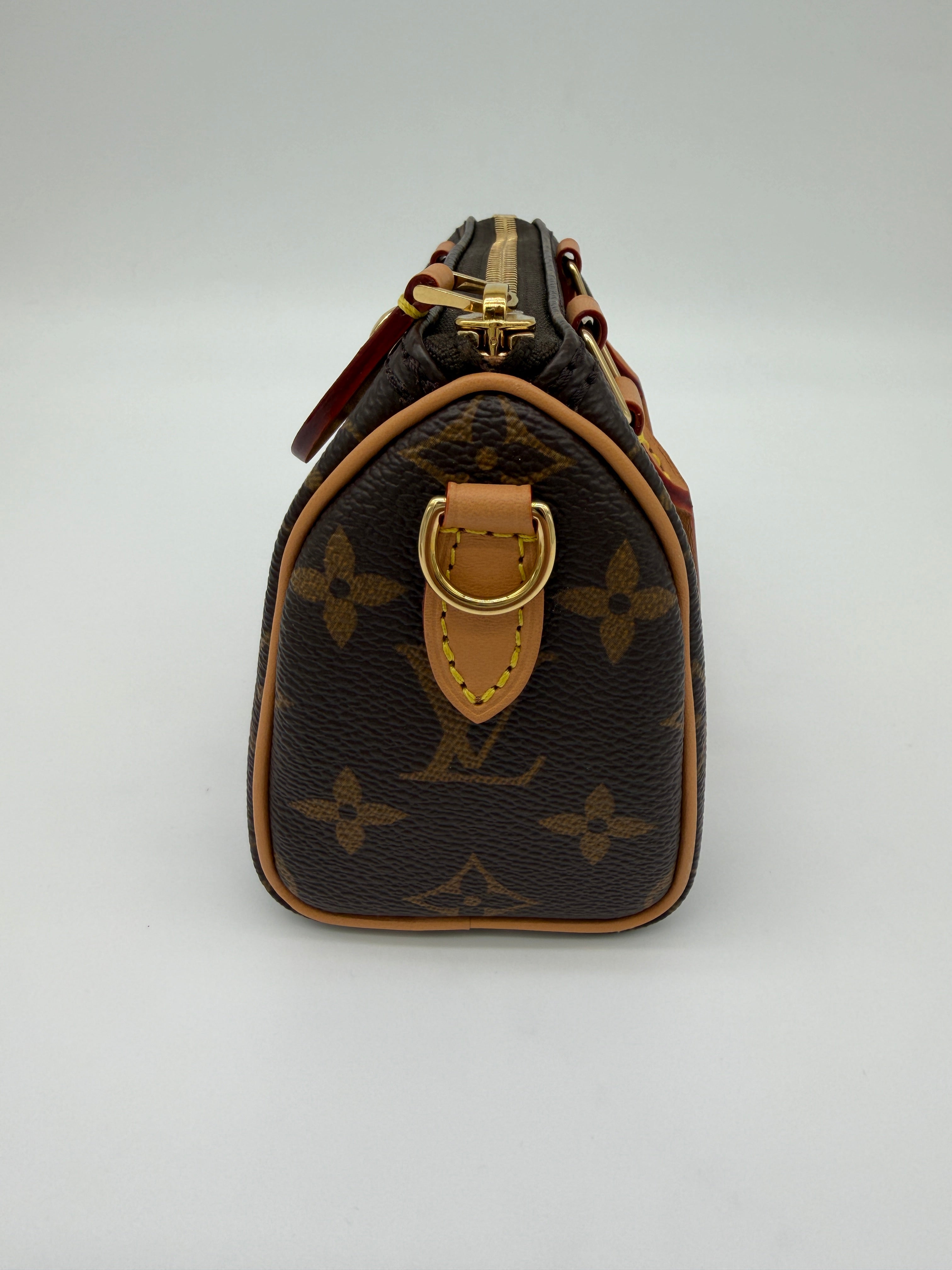 Louis Vuitton Monogram Speedy Nano
