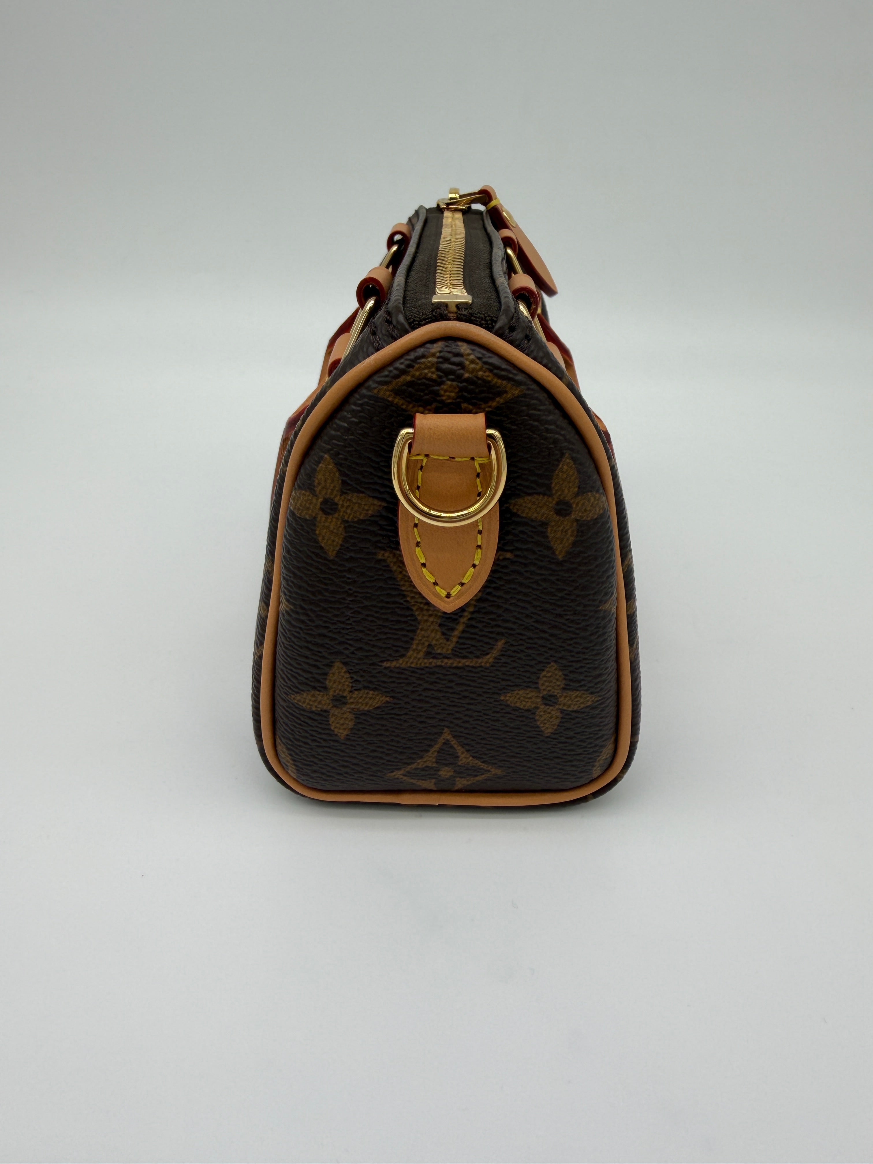 Louis Vuitton Monogram Speedy Nano