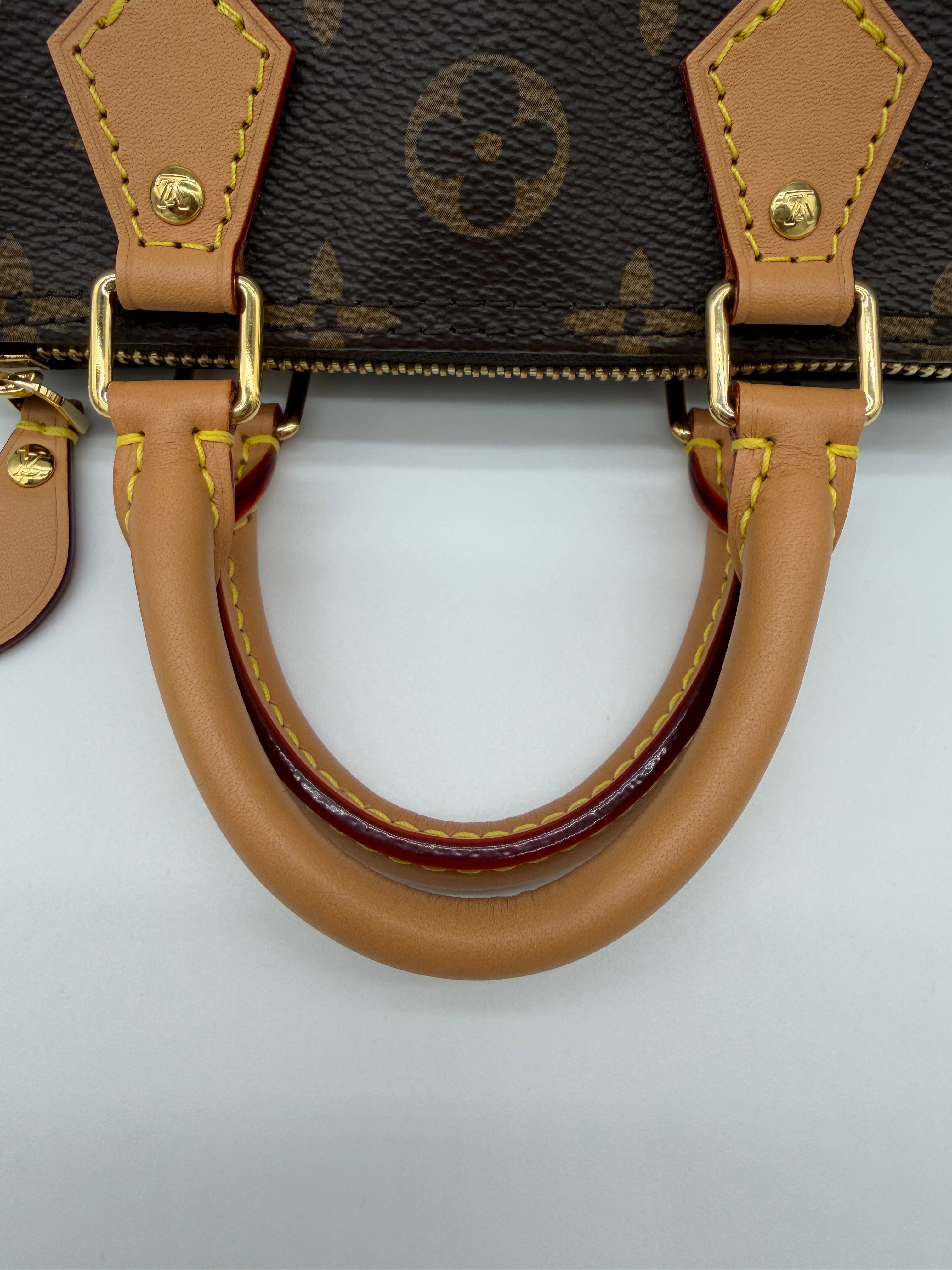 Louis Vuitton Monogram Speedy Nano
