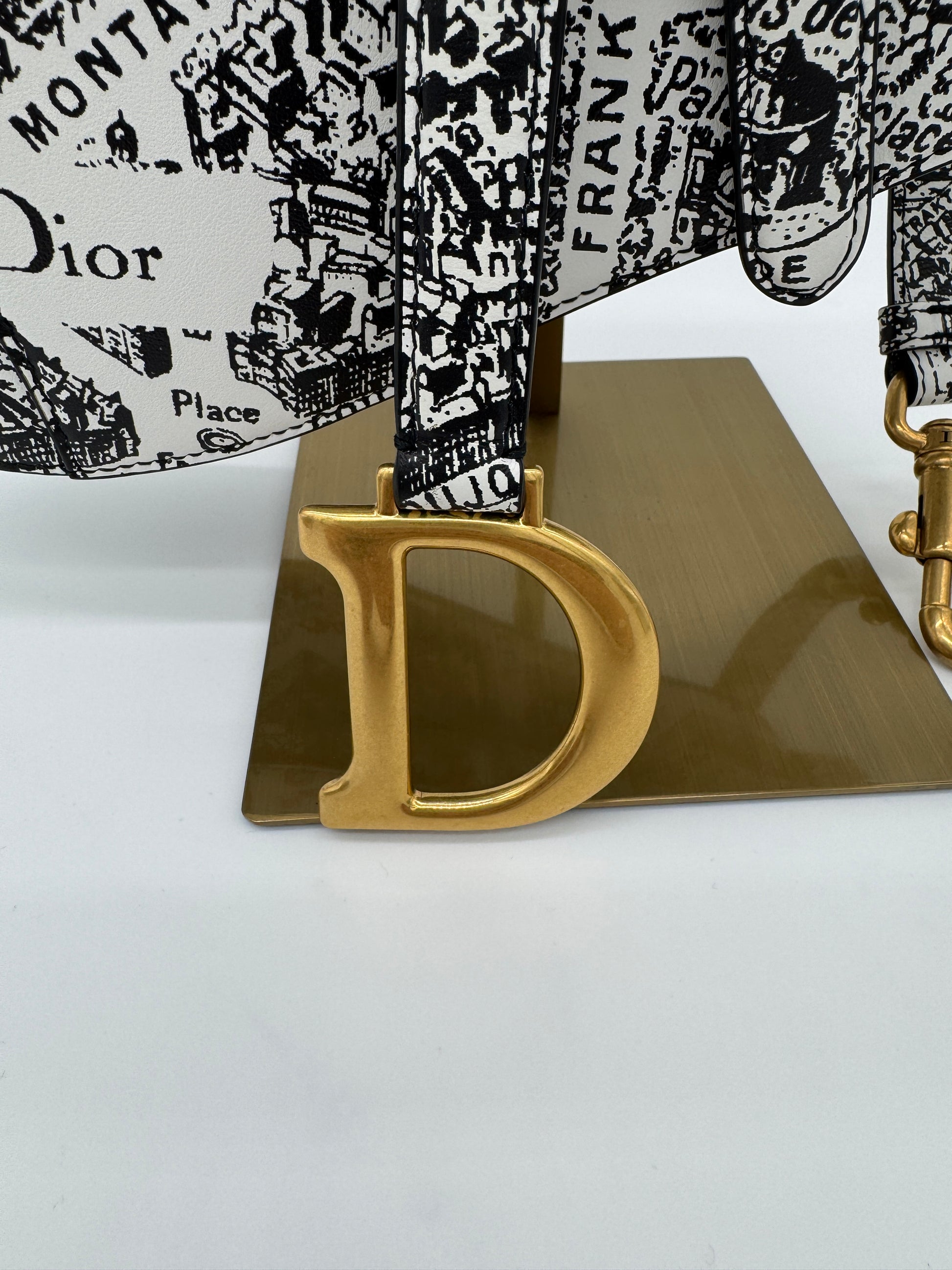 Christian Dior Plan De Paris Saddle Bag