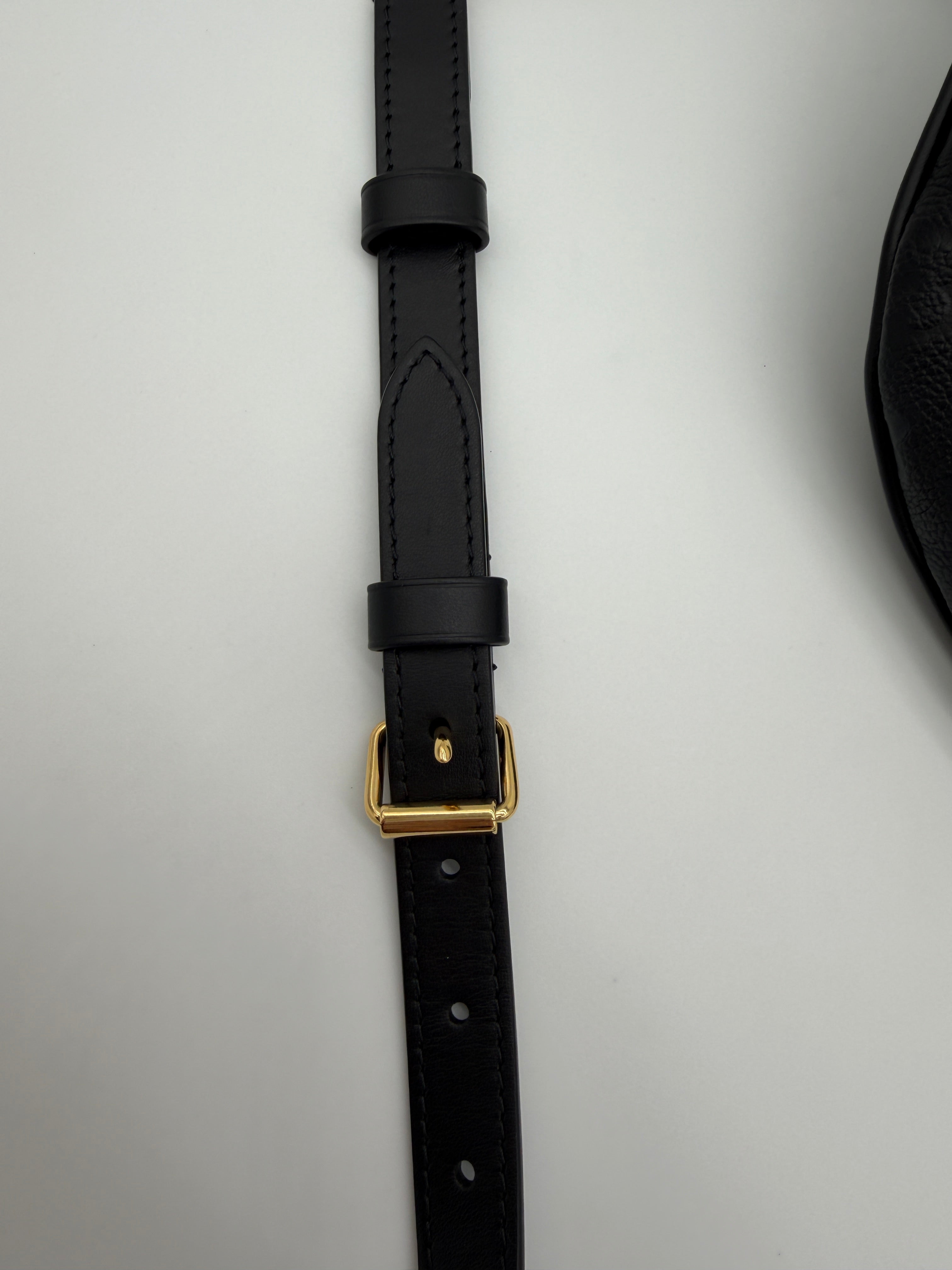Louis Vuitton High Rise Empreinte Bumbag
