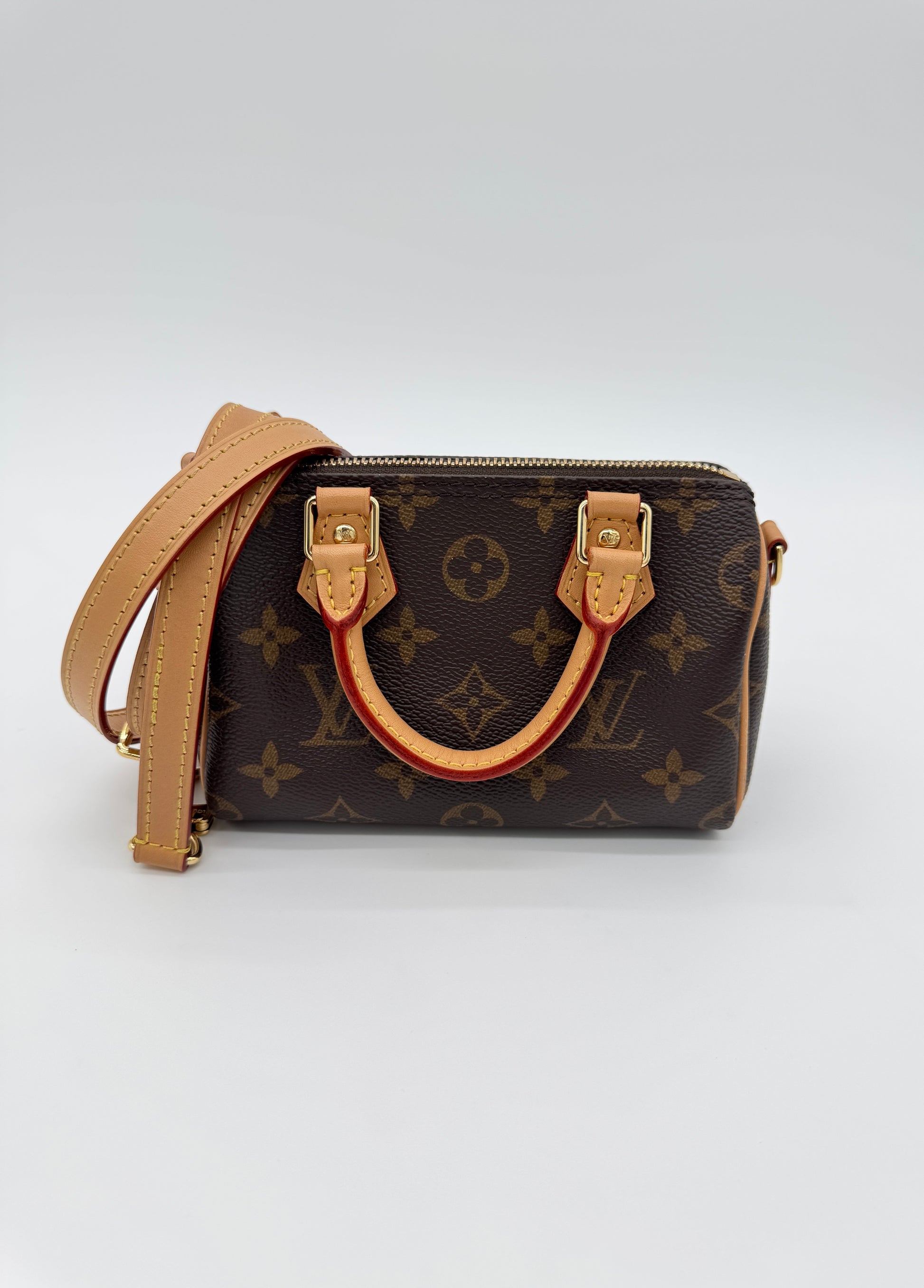 Louis Vuitton Monogram Speedy Nano