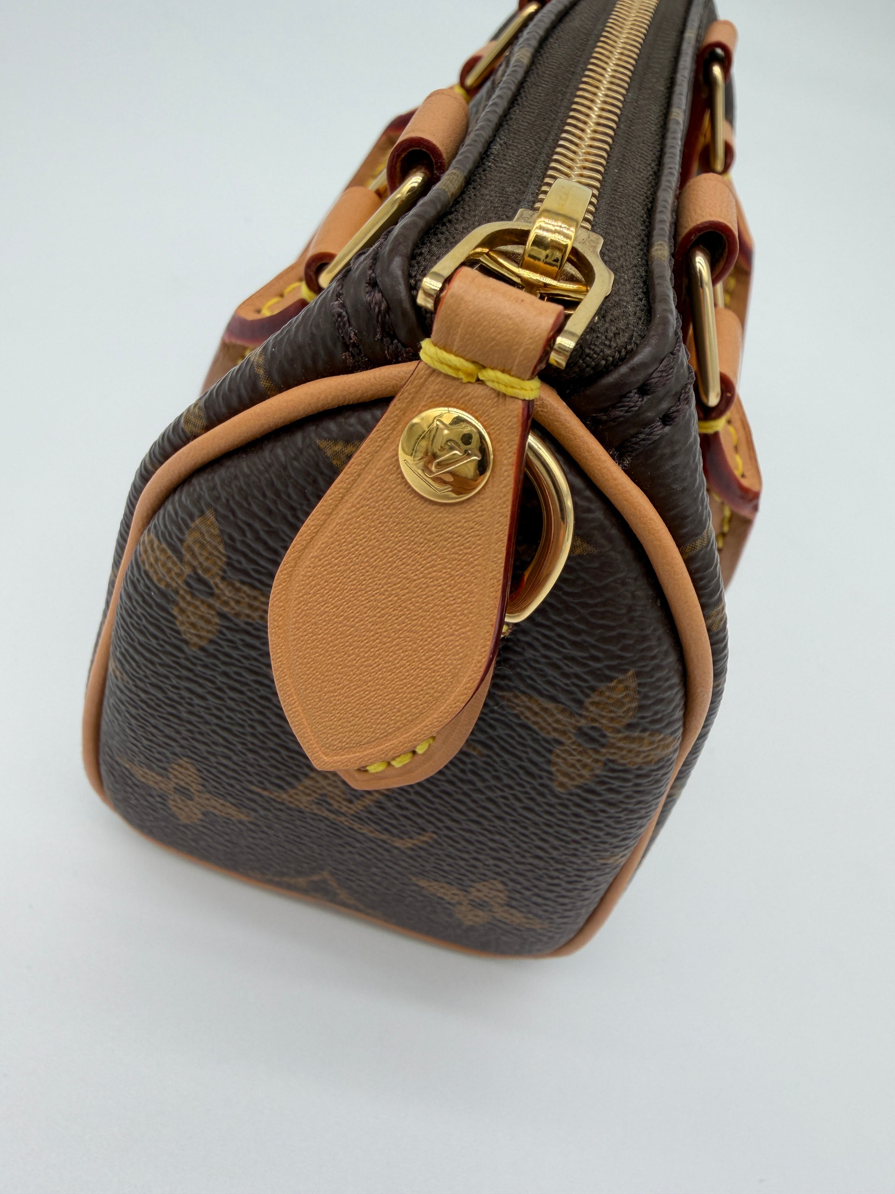 Louis Vuitton Monogram Speedy Nano