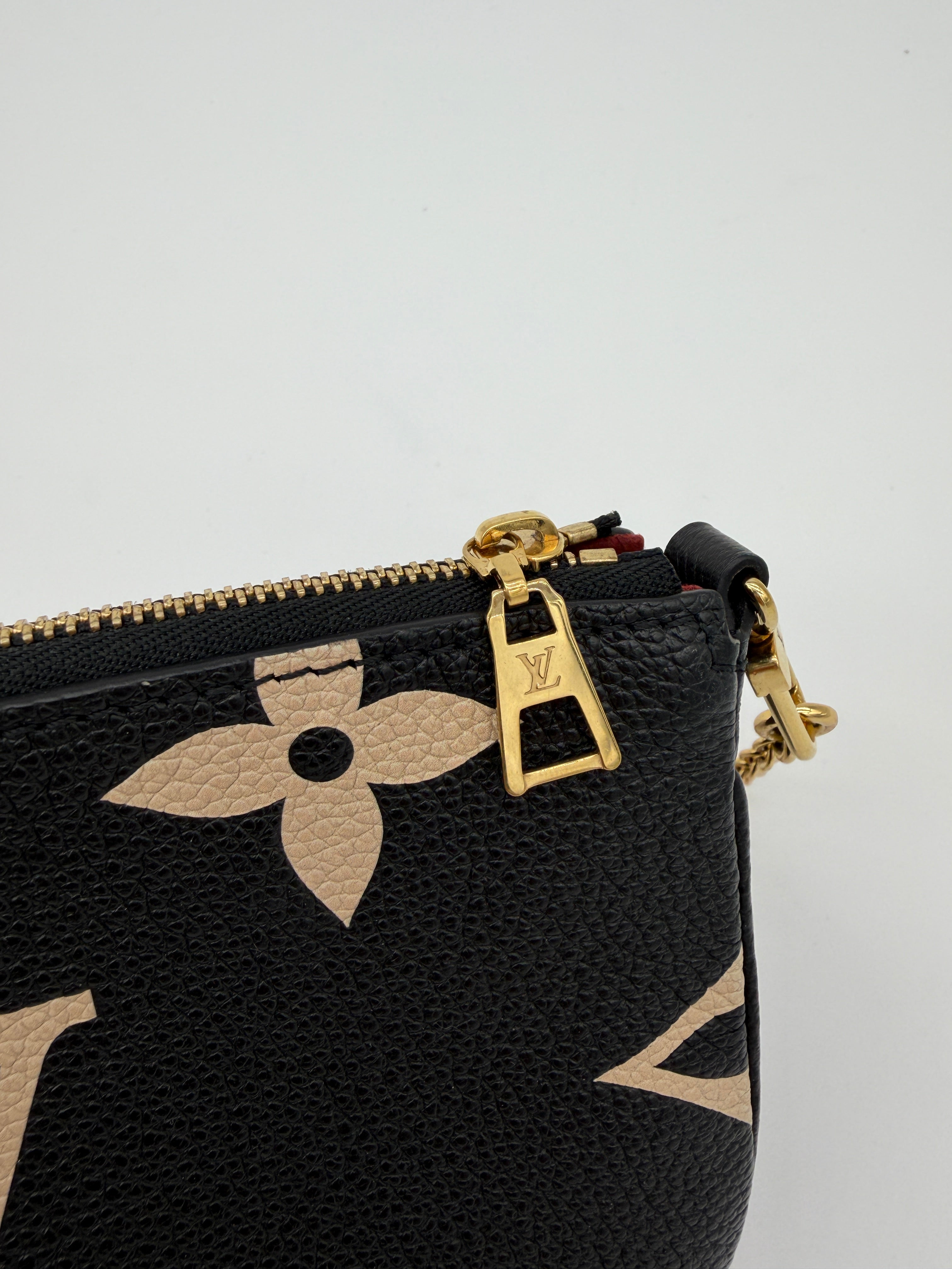 Louis Vuitton Bicolor Pochette