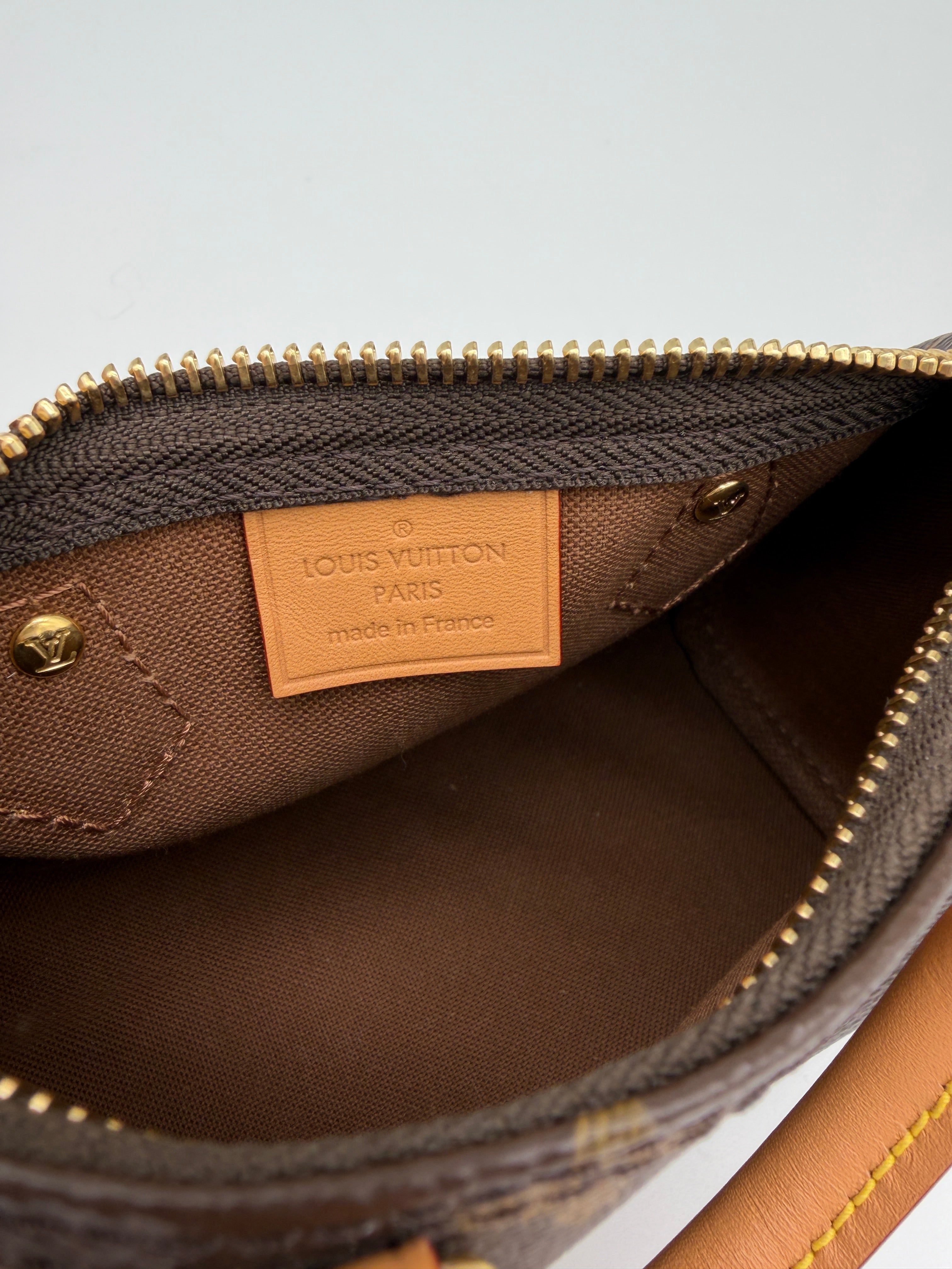 Louis Vuitton Monogram Speedy Nano