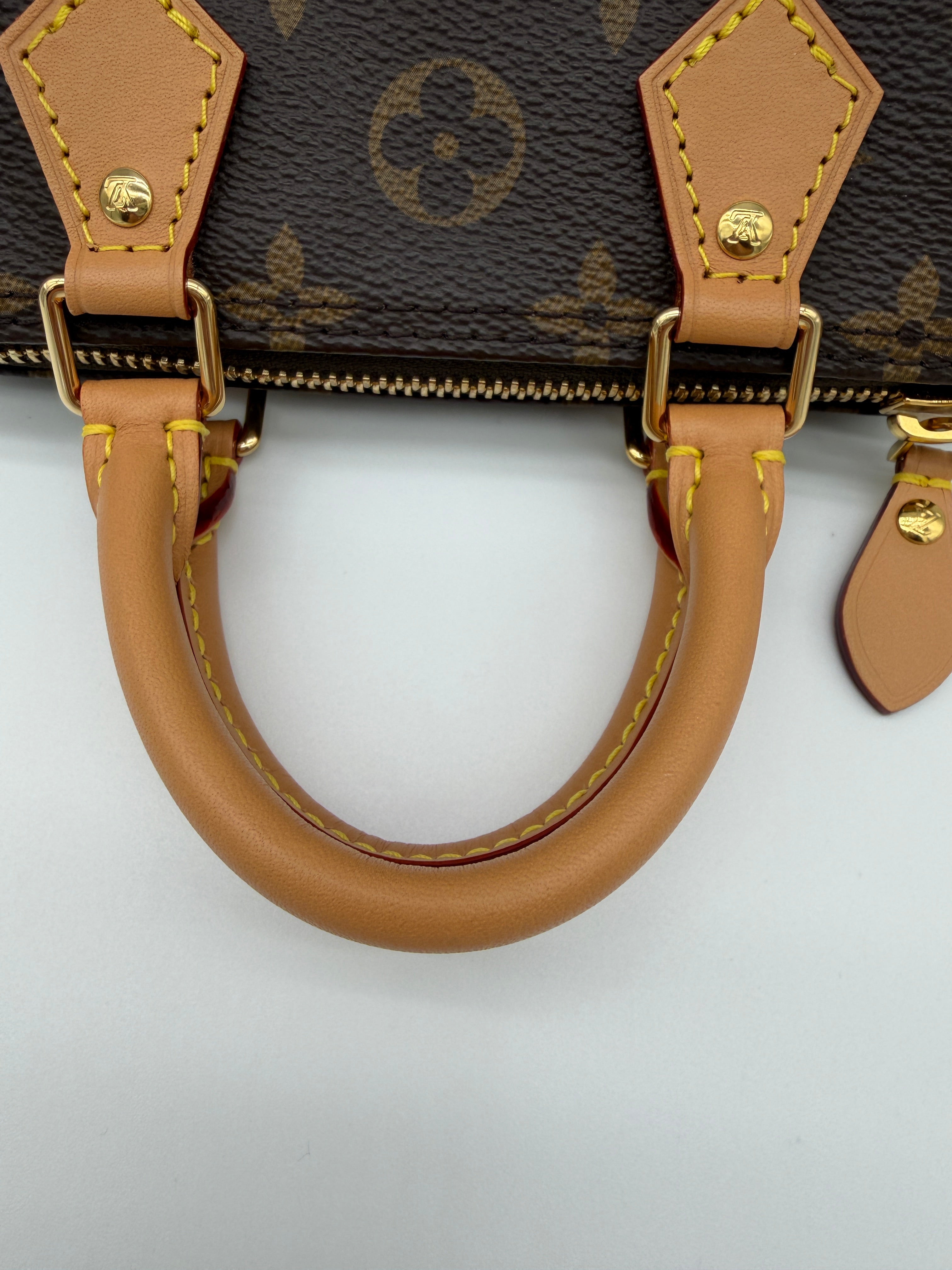 Louis Vuitton Monogram Speedy Nano
