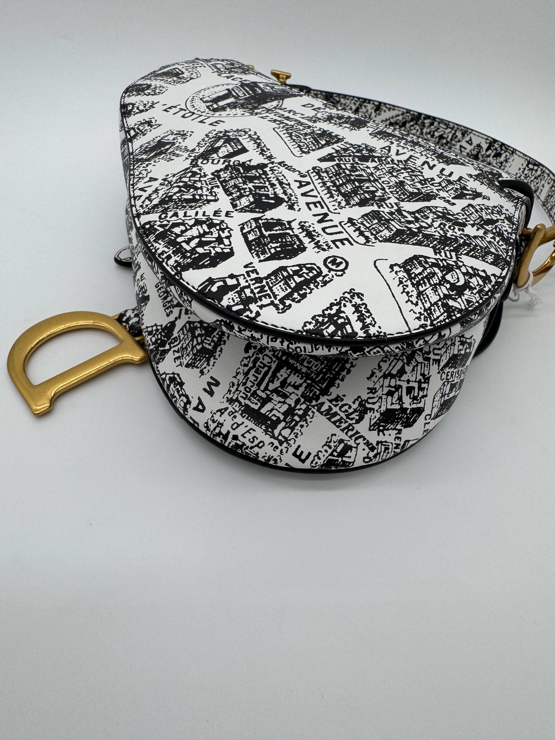 Christian Dior Plan De Paris Saddle Bag