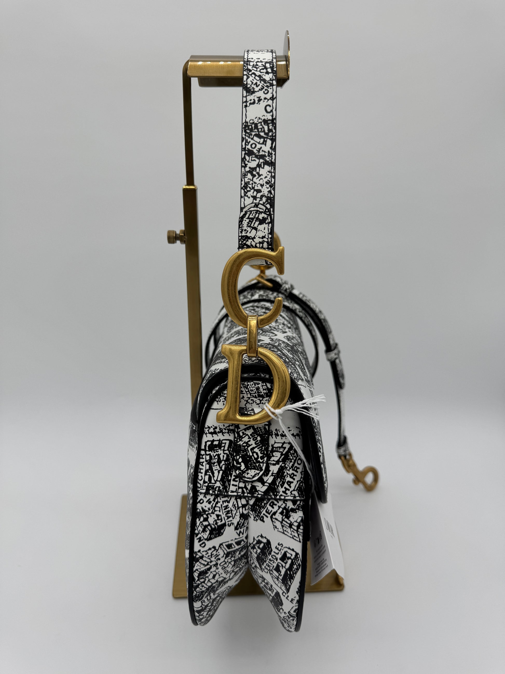 Christian Dior Plan De Paris Saddle Bag
