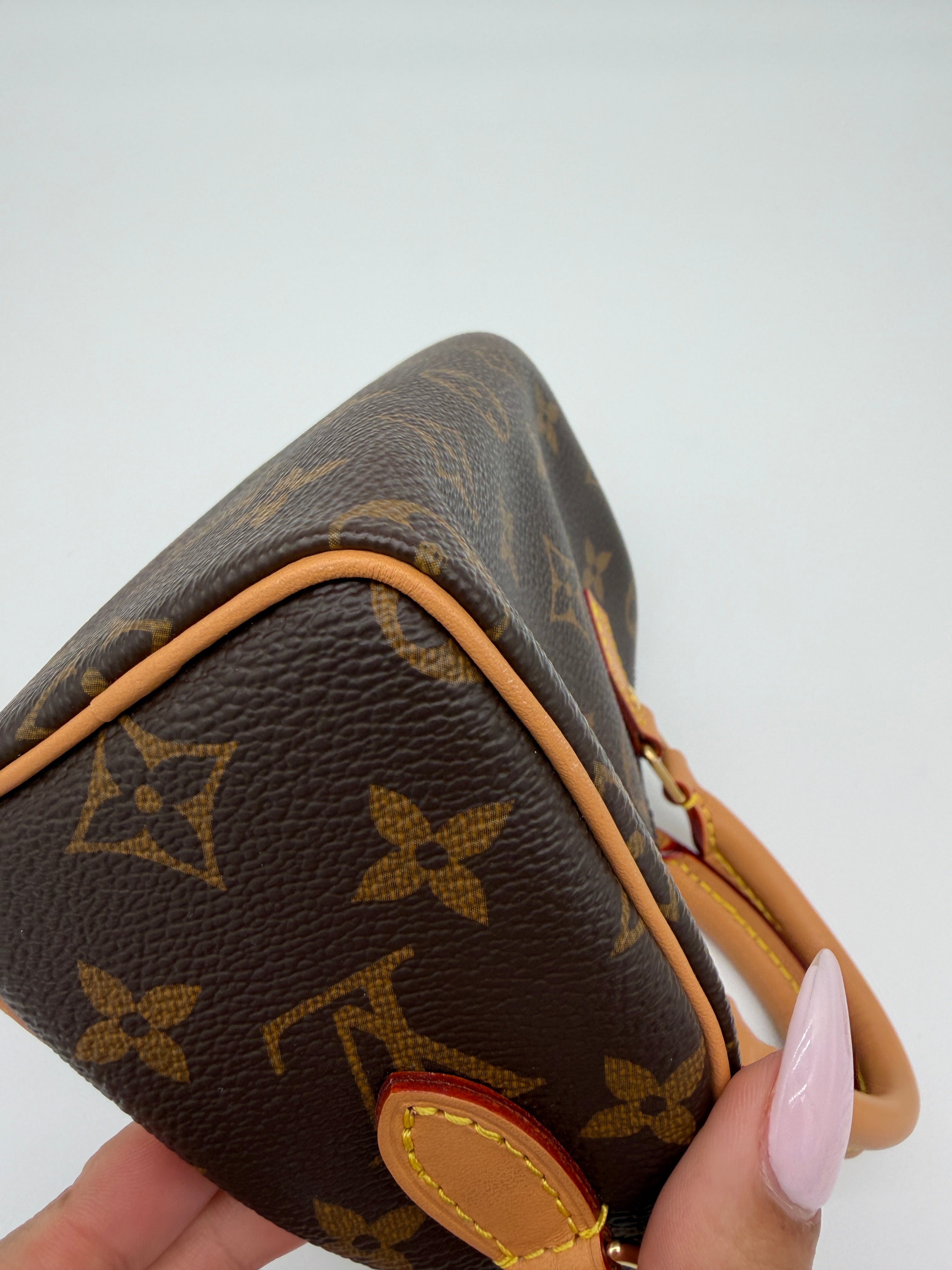 Louis Vuitton Monogram Speedy Nano