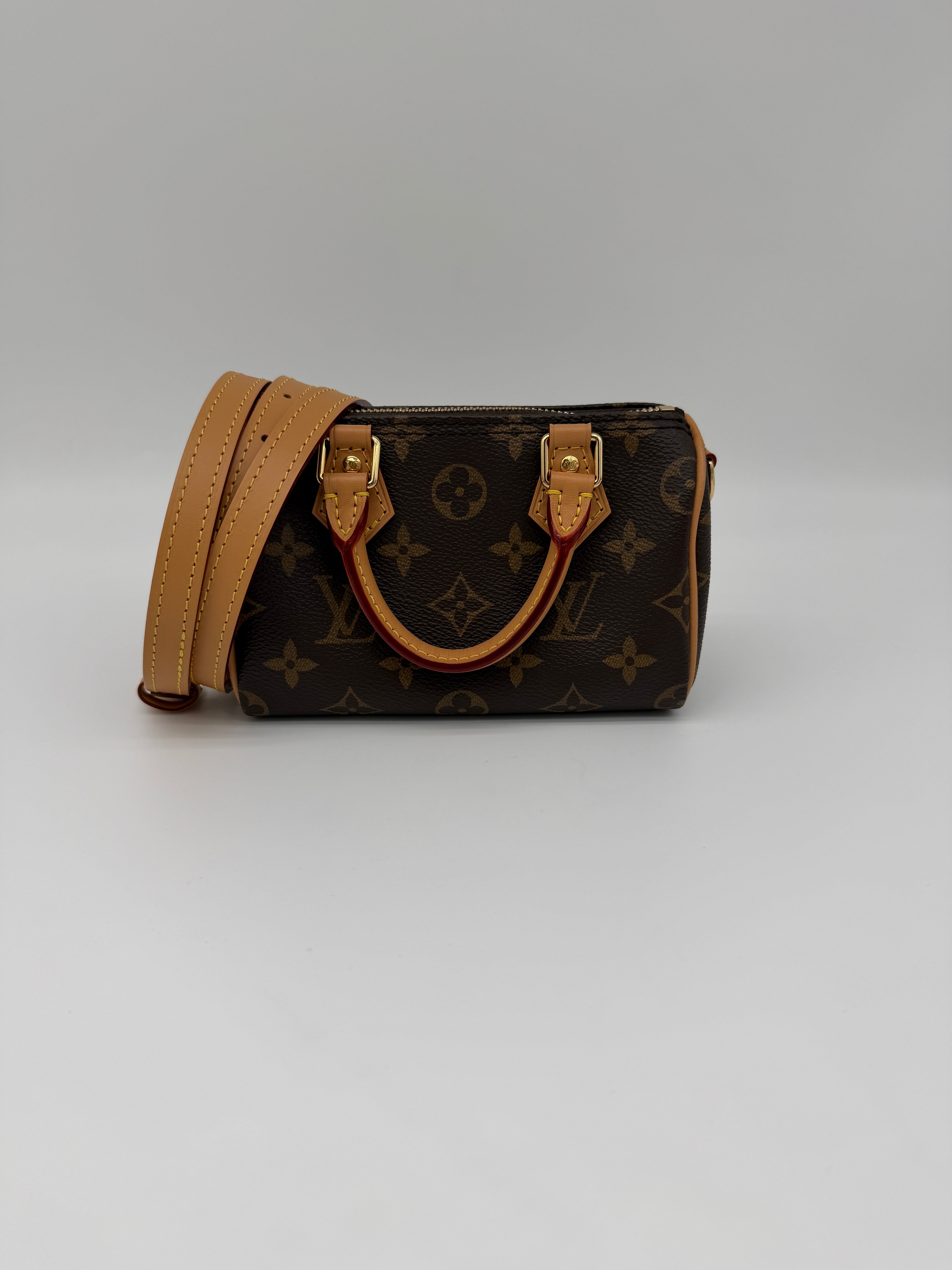 Louis Vuitton Monogram Speedy Nano