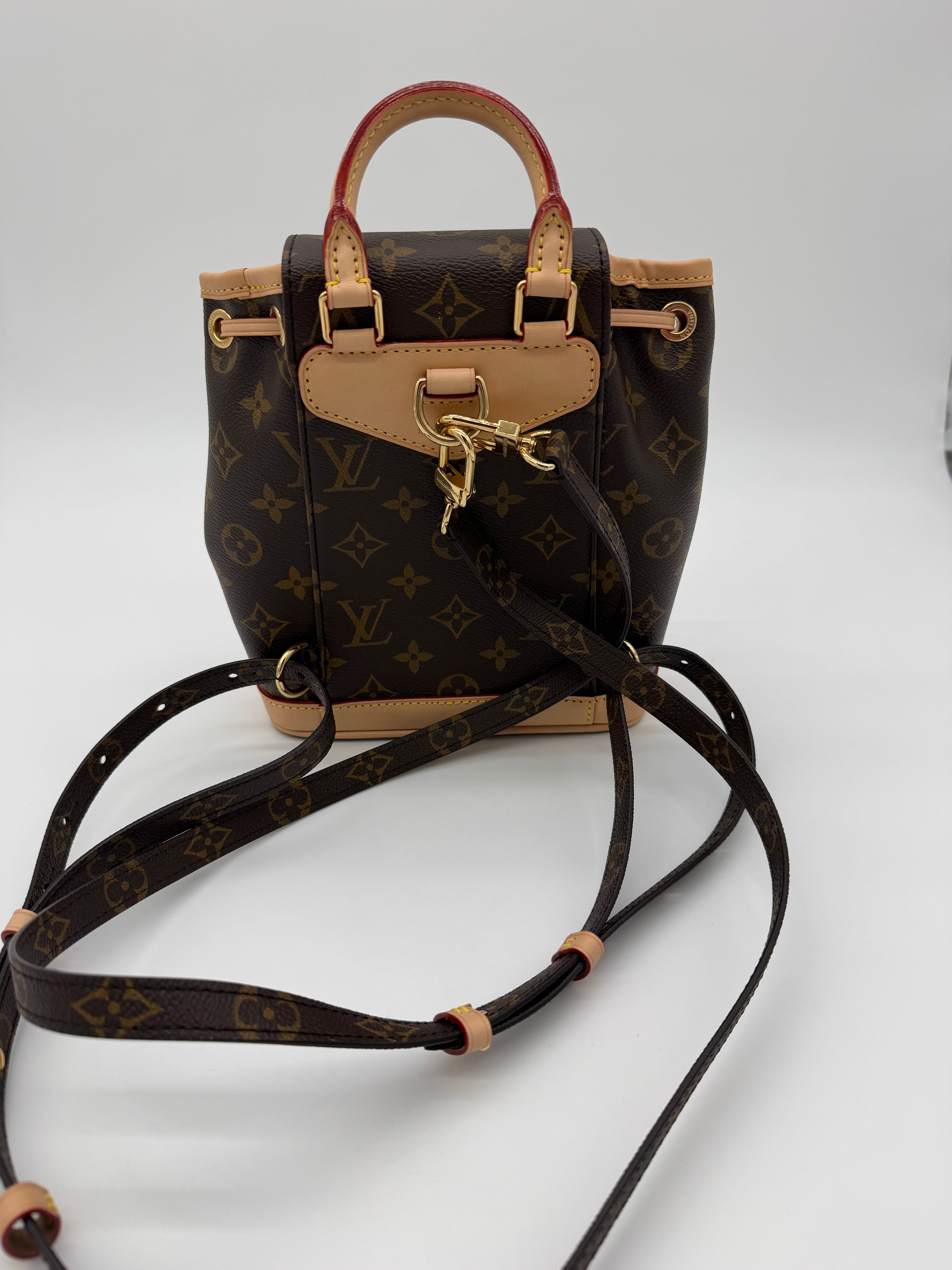 Louis Vuitton Monogram Montsouris Mini Backpack