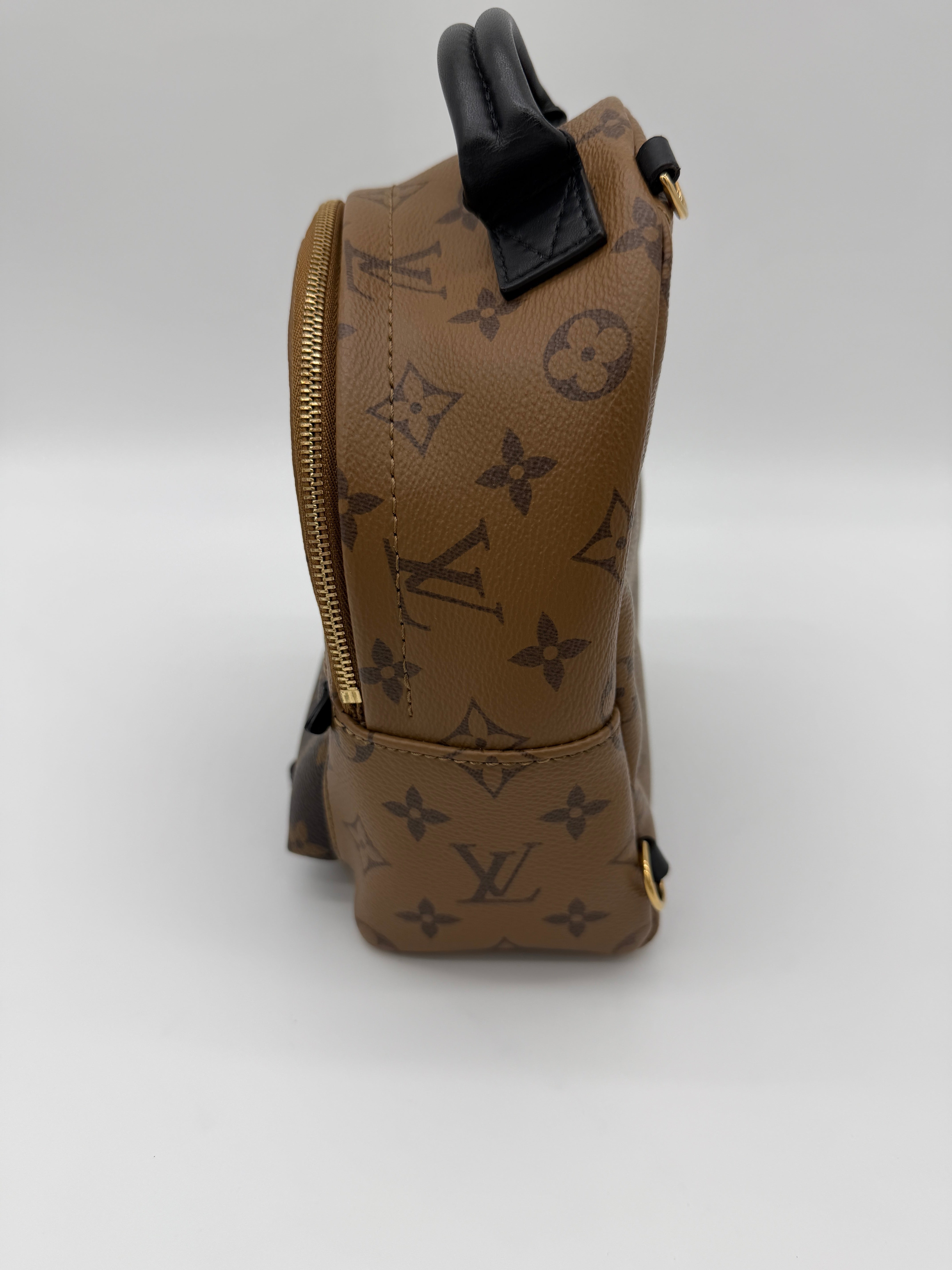 Louis Vuitton Palm Springs Mini Reverse Monogram