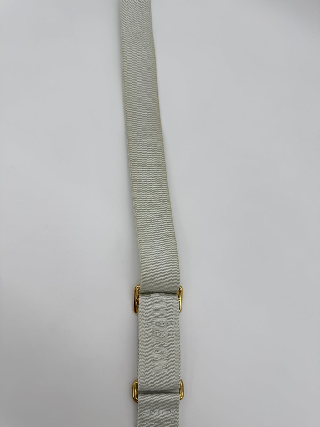 Louis Vuitton OnTheGo PM Spring in the City Shoulder Guitar Strap