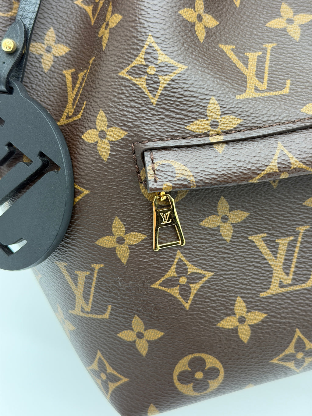 Louis Vuitton Monogram Montsouris Backpack