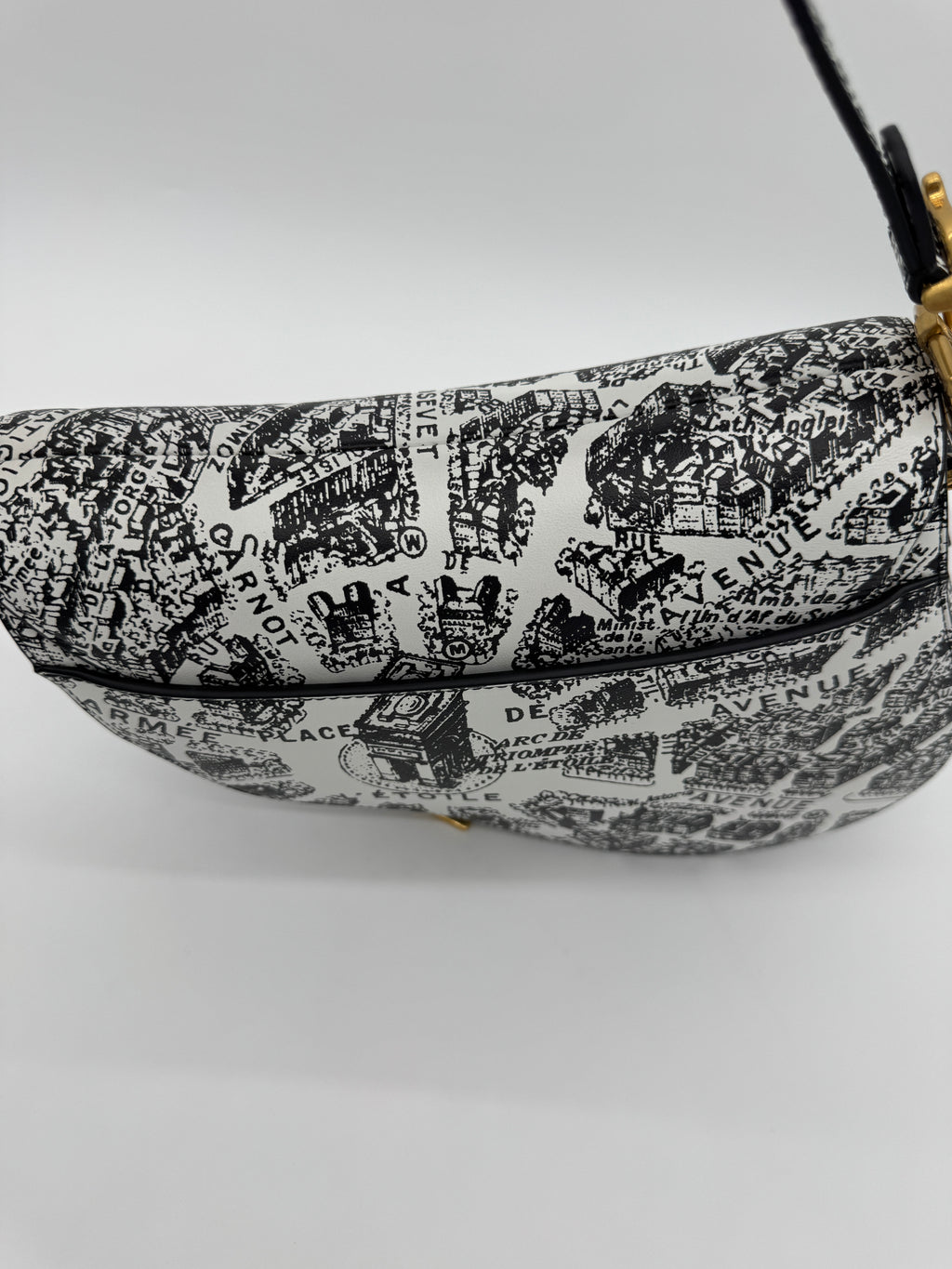 Christian Dior Plan De Paris Saddle Bag