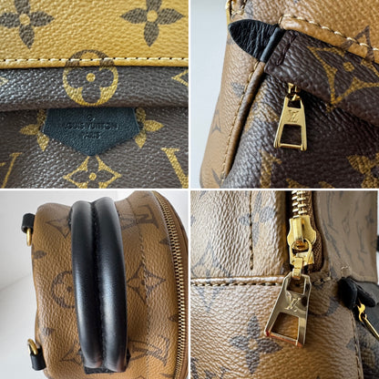 Louis Vuitton Palm Spring Mini Reverse Monogram