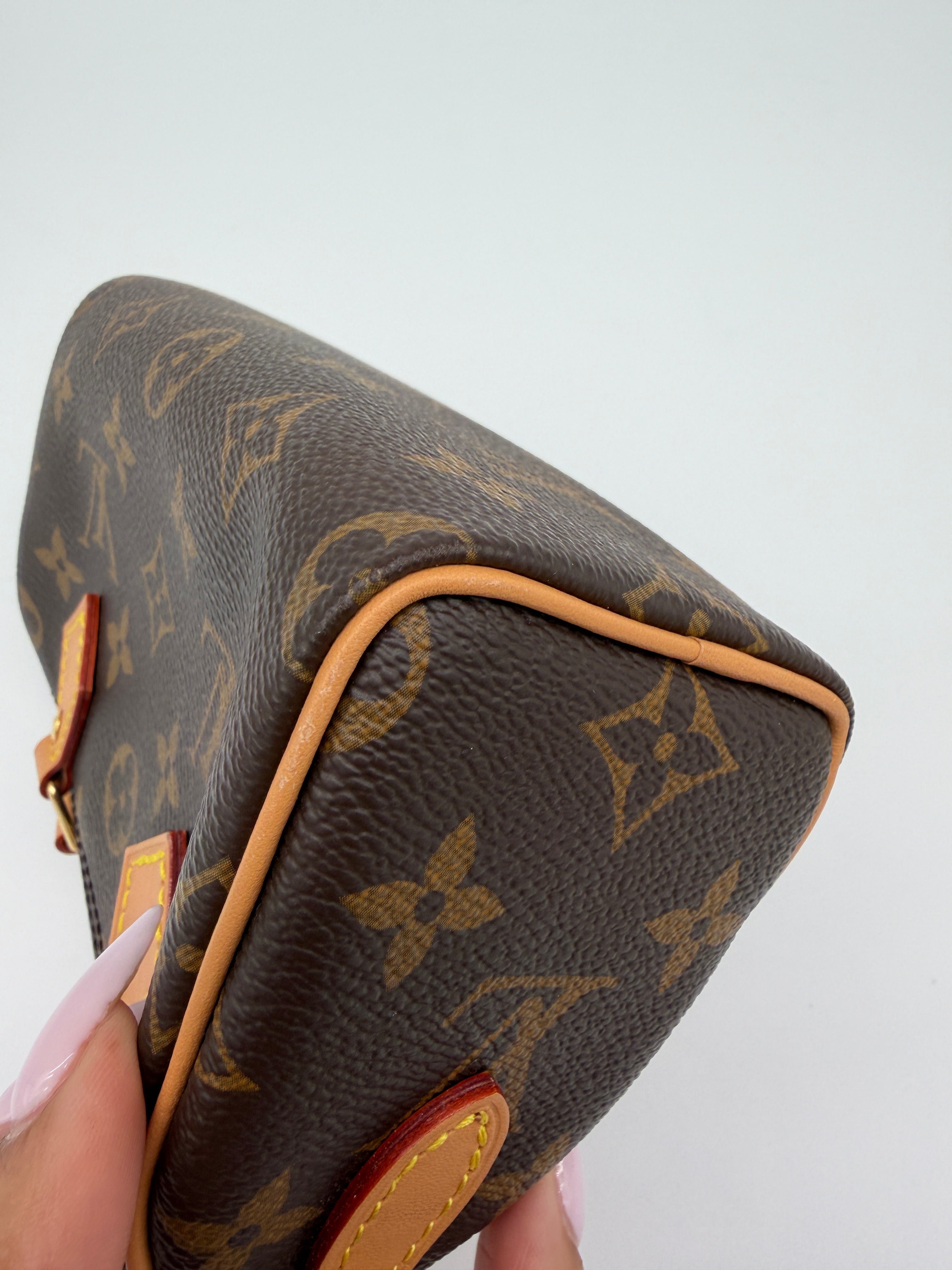 Louis Vuitton Monogram Speedy Nano