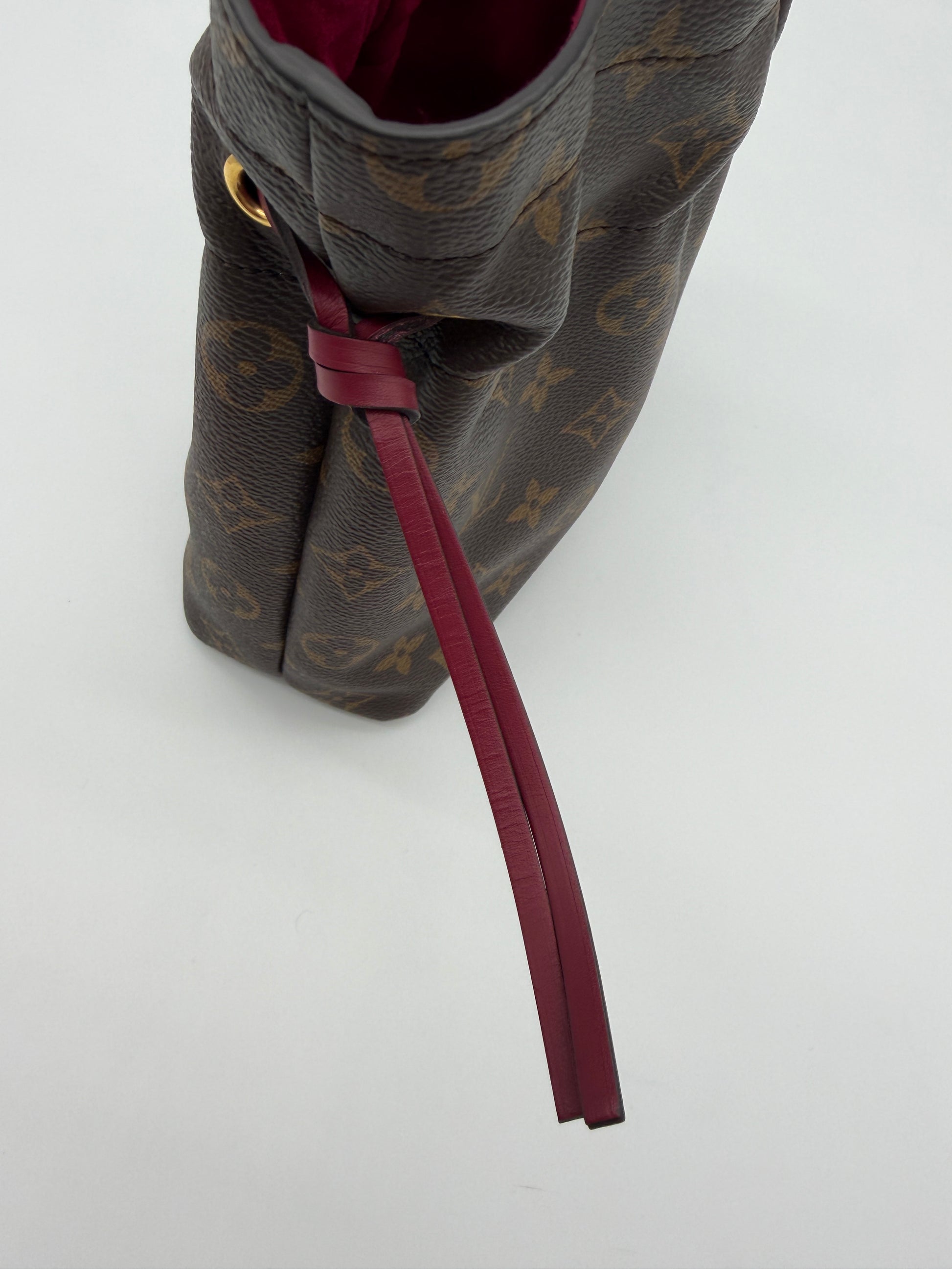 Louis Vuitton Noe Pouch