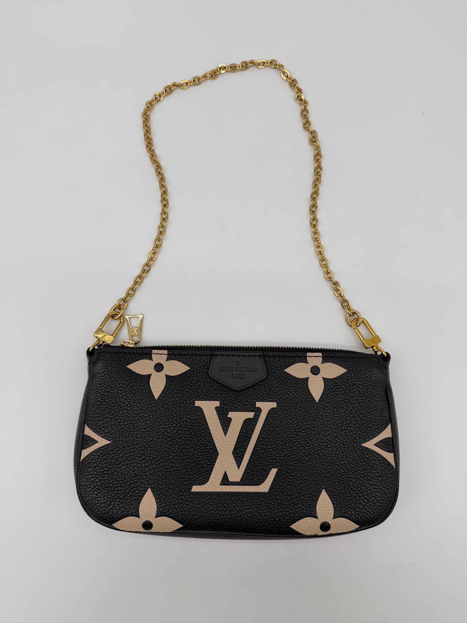 Louis Vuitton Bicolor Pochette