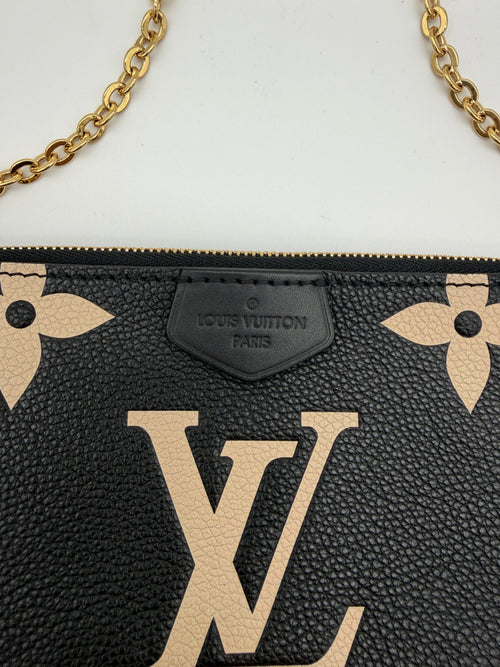 Louis Vuitton Bicolor Pochette