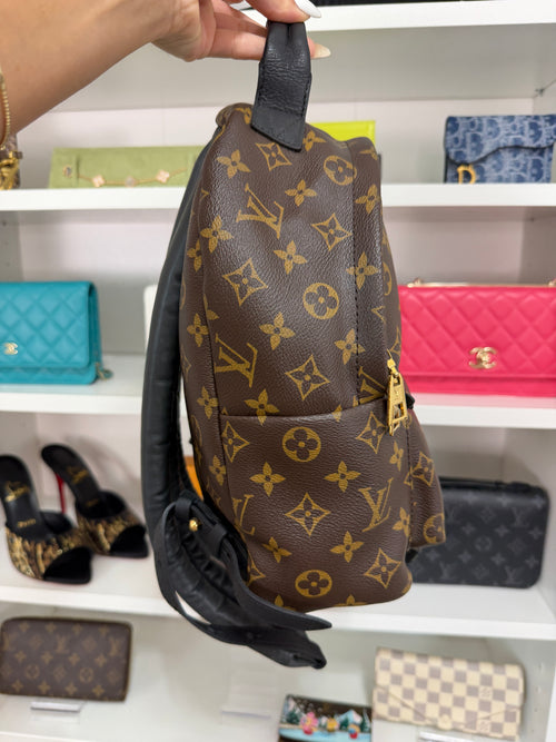 Louis Vuitton Palm Springs PM Backpack