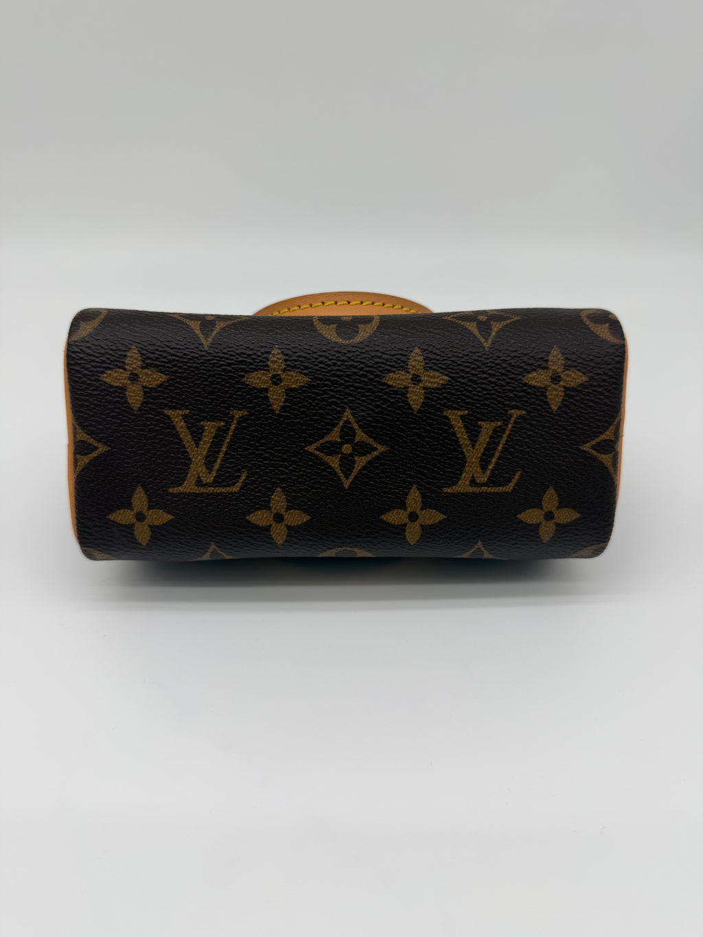 Louis Vuitton Monogram Speedy Nano