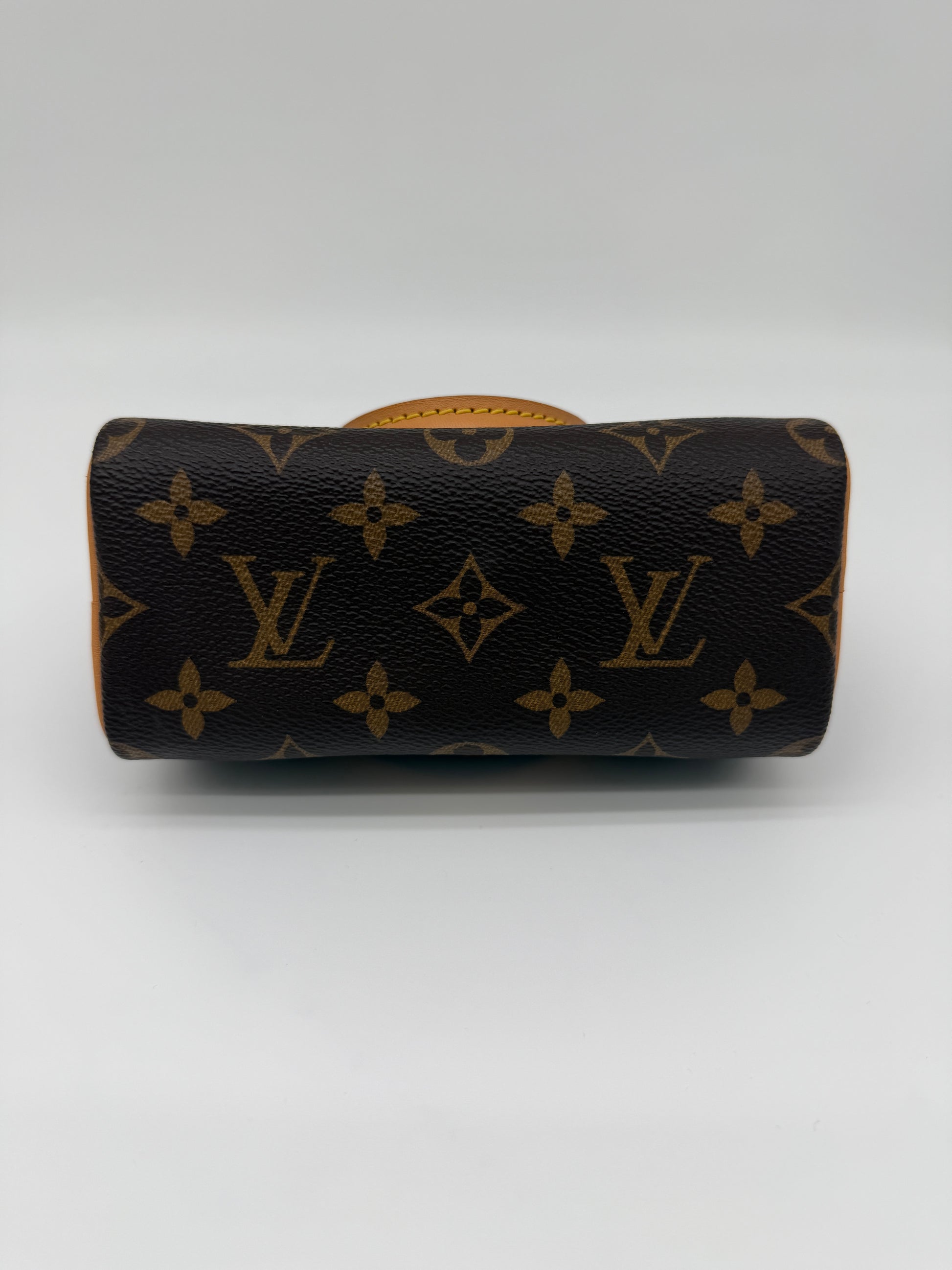 Louis Vuitton Monogram Speedy Nano