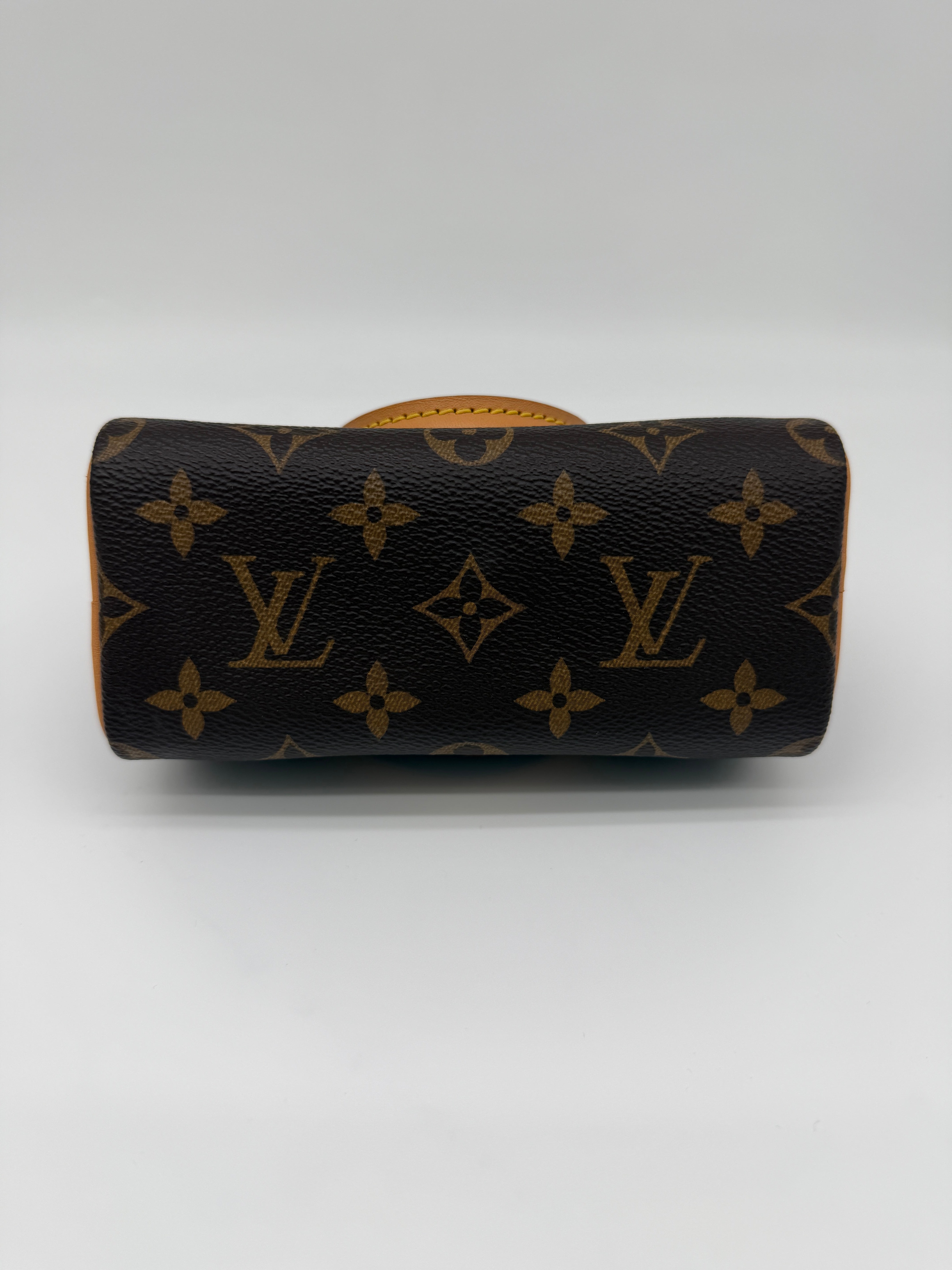Louis Vuitton Monogram Speedy Nano