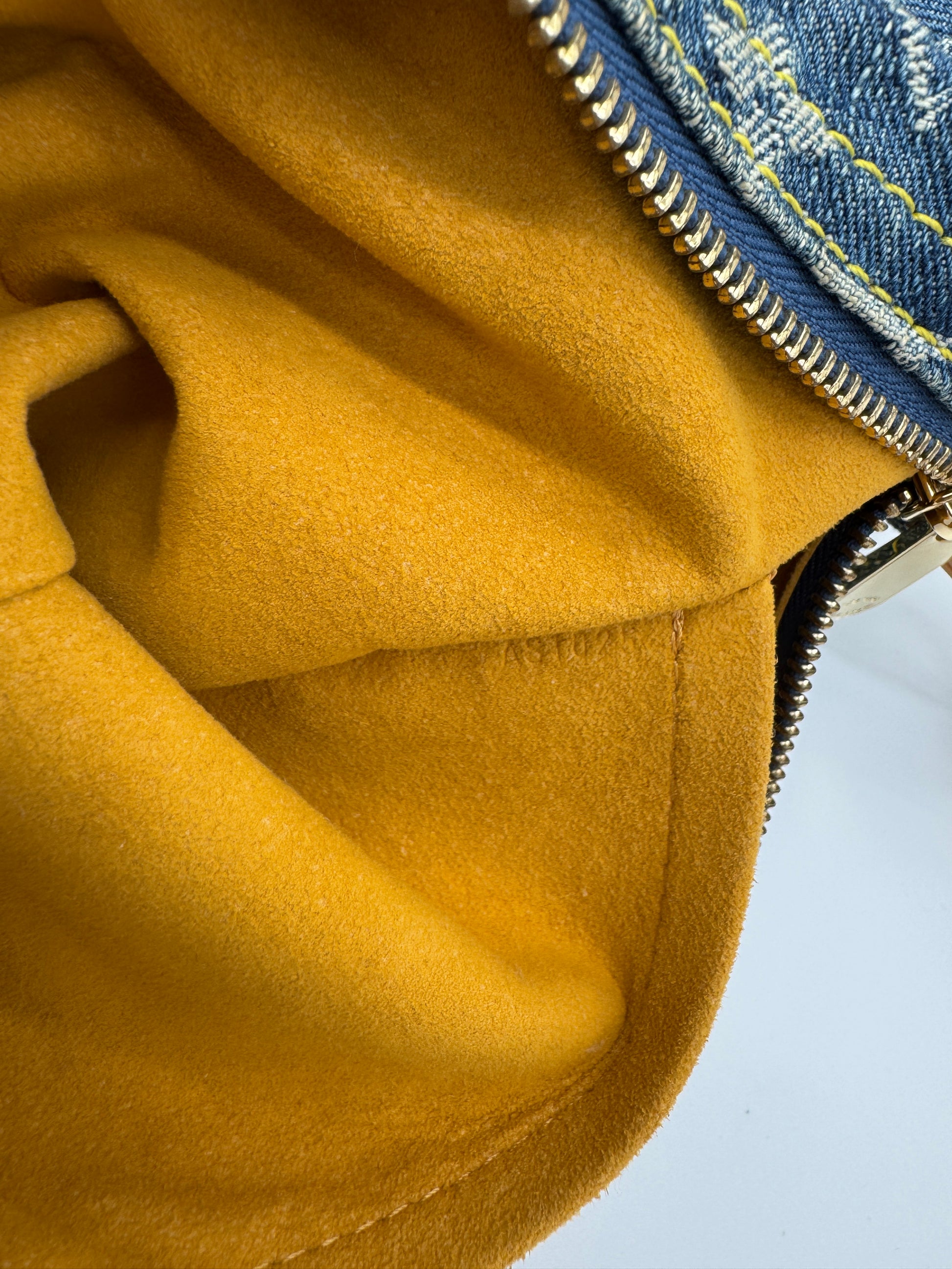Louis Vuitton Denim Baggy PM
