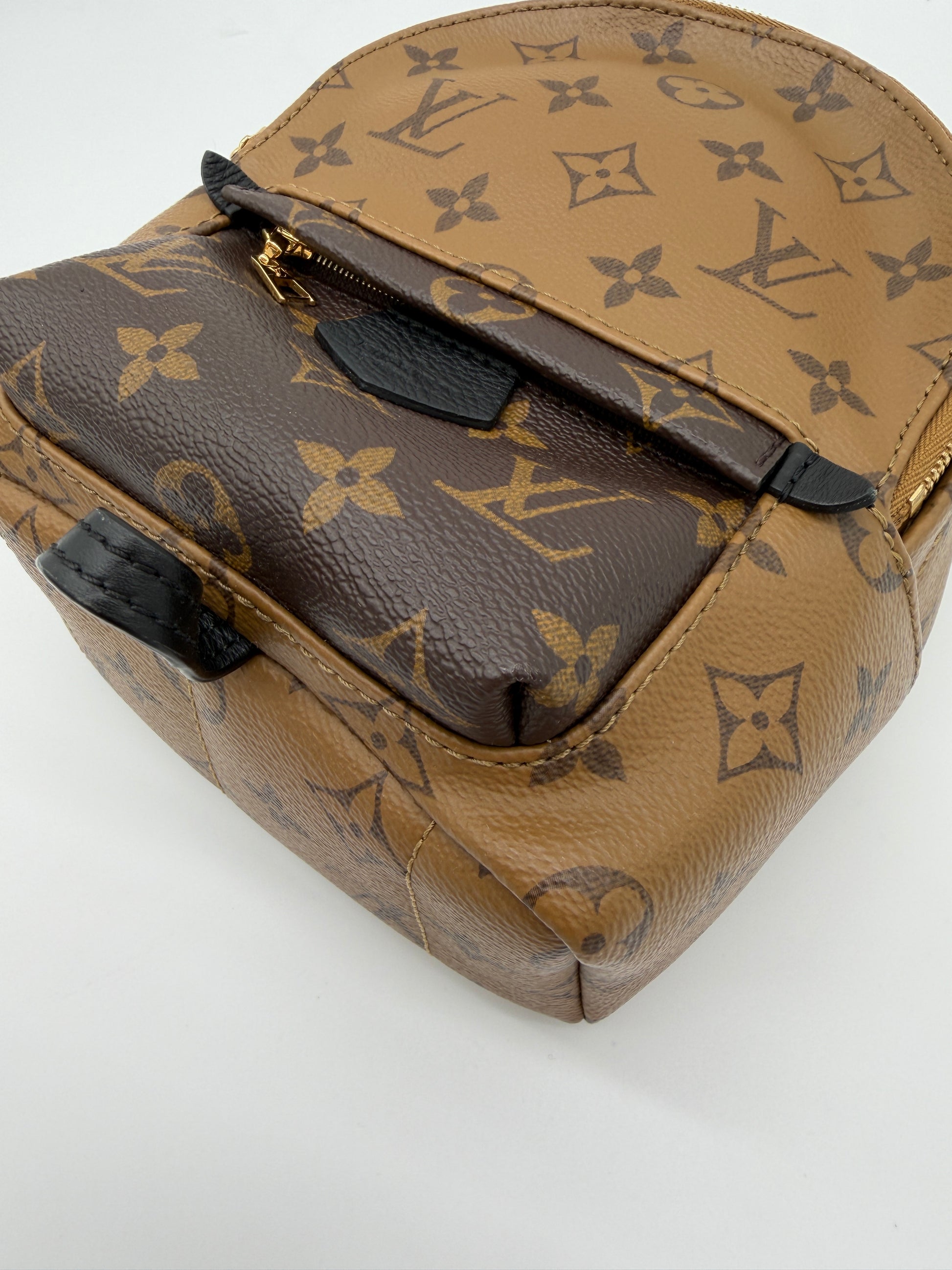 Louis Vuitton Palm Springs Mini Reverse Monogram