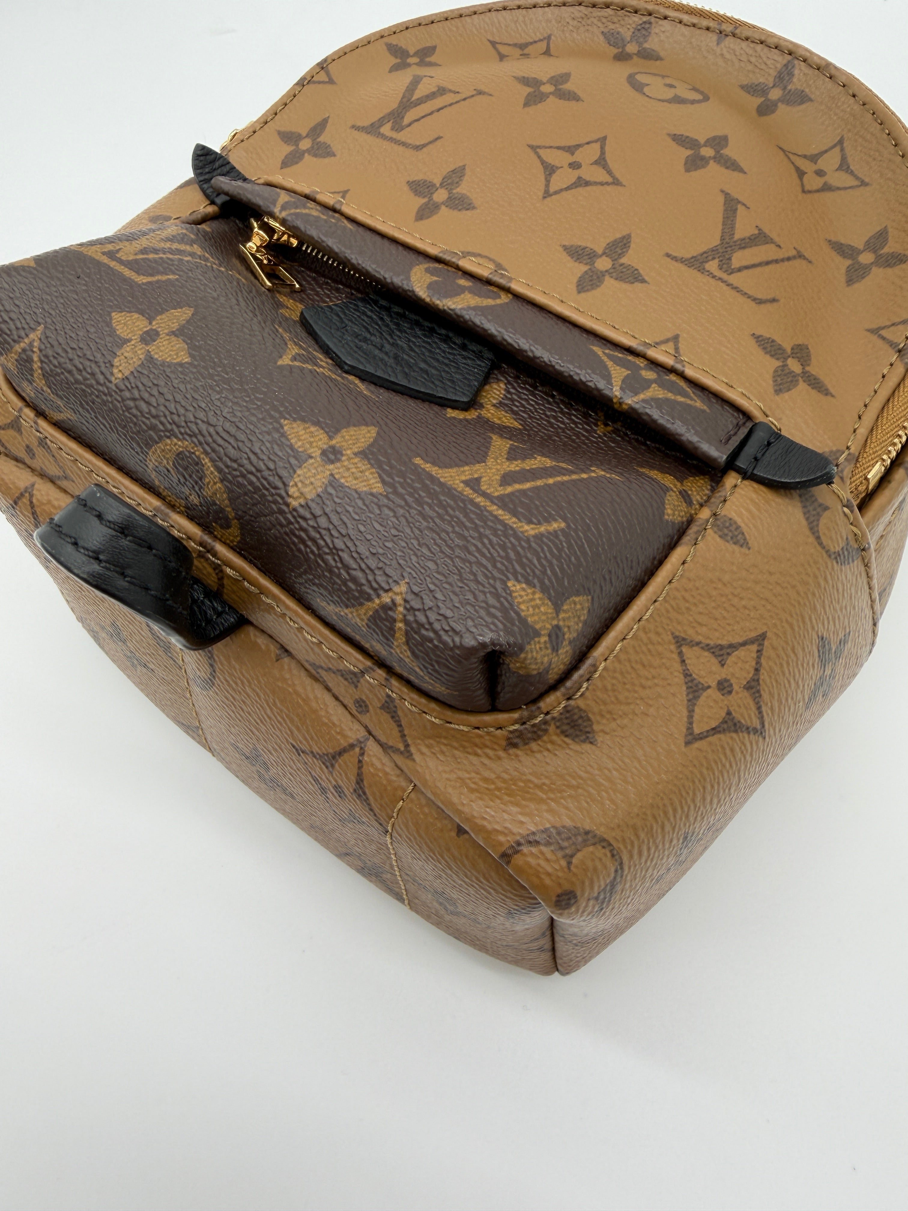 Louis Vuitton Palm Springs Mini Reverse Monogram