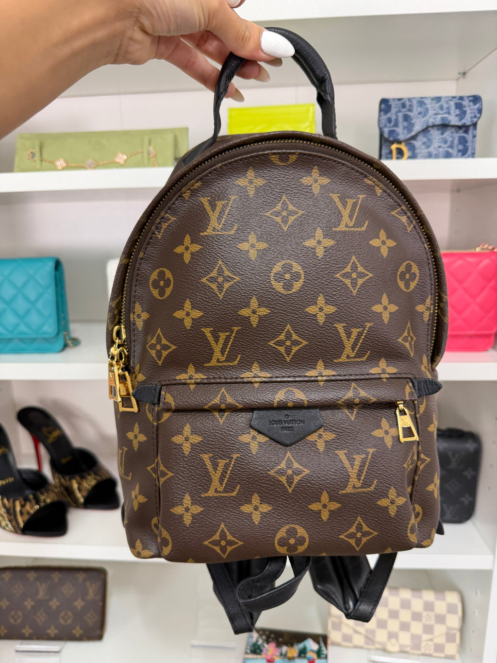 Louis Vuitton Palm Springs PM Backpack