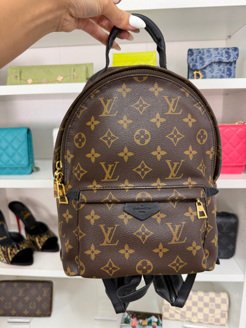 Louis Vuitton Palm Springs PM Backpack