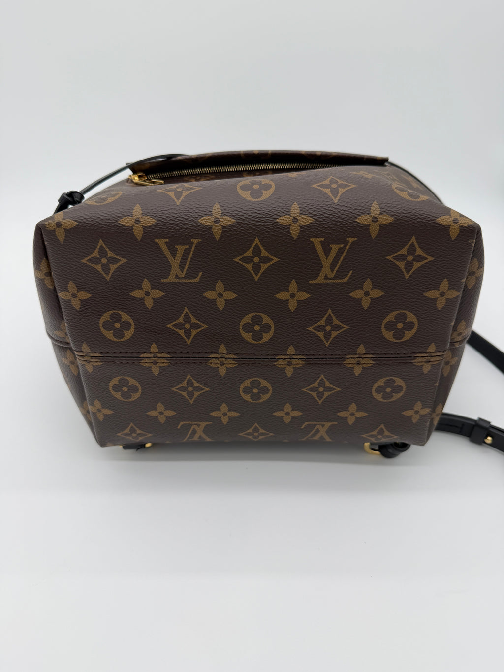 Louis Vuitton Monogram Montsouris Backpack
