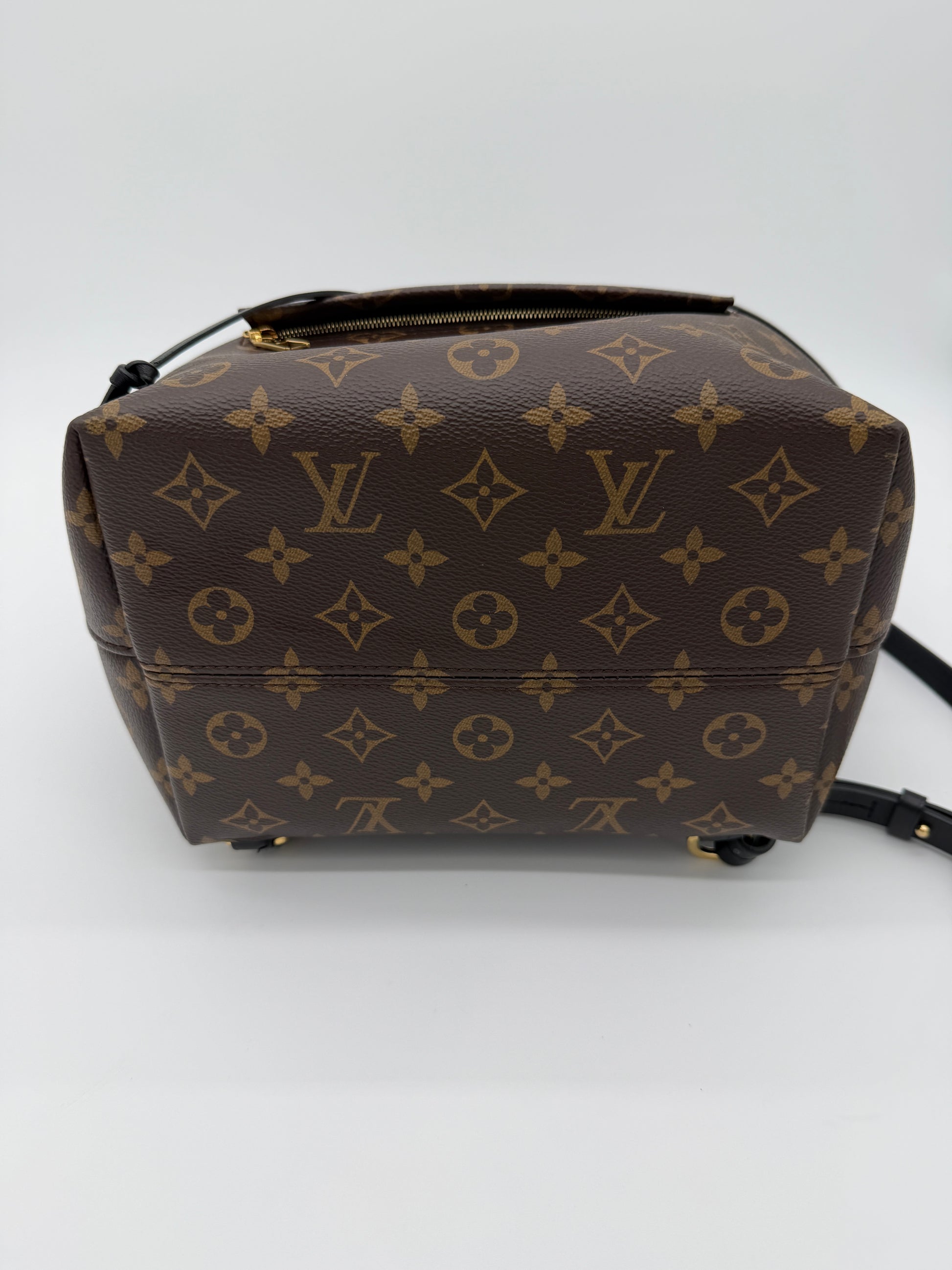 Louis Vuitton Monogram Montsouris Backpack