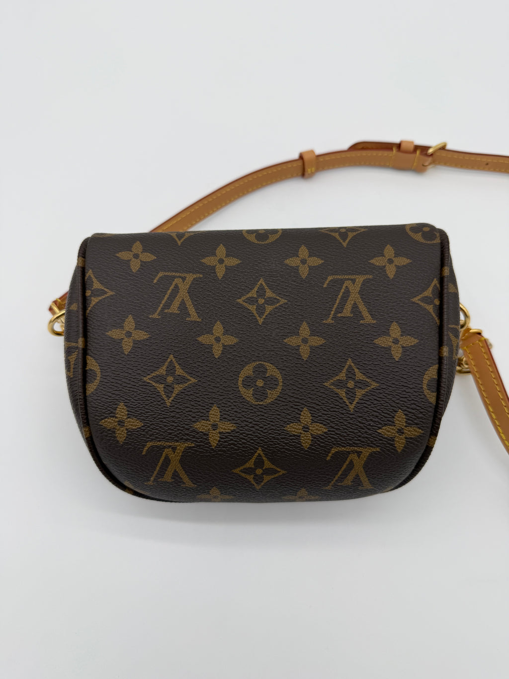 Louis Vuitton Monogram Mini Bumbag