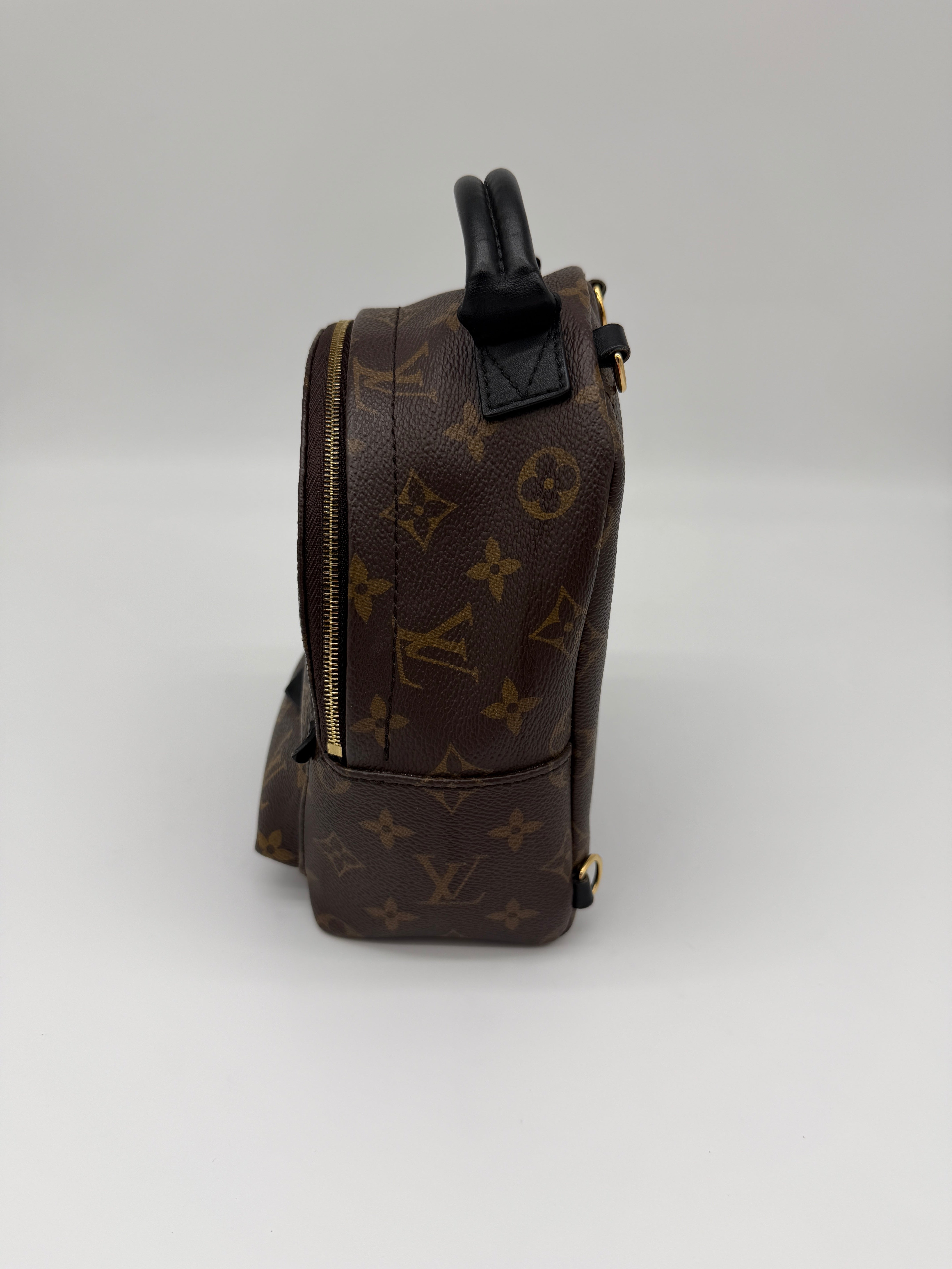 Louis Vuitton Monogram Palm Springs Mini