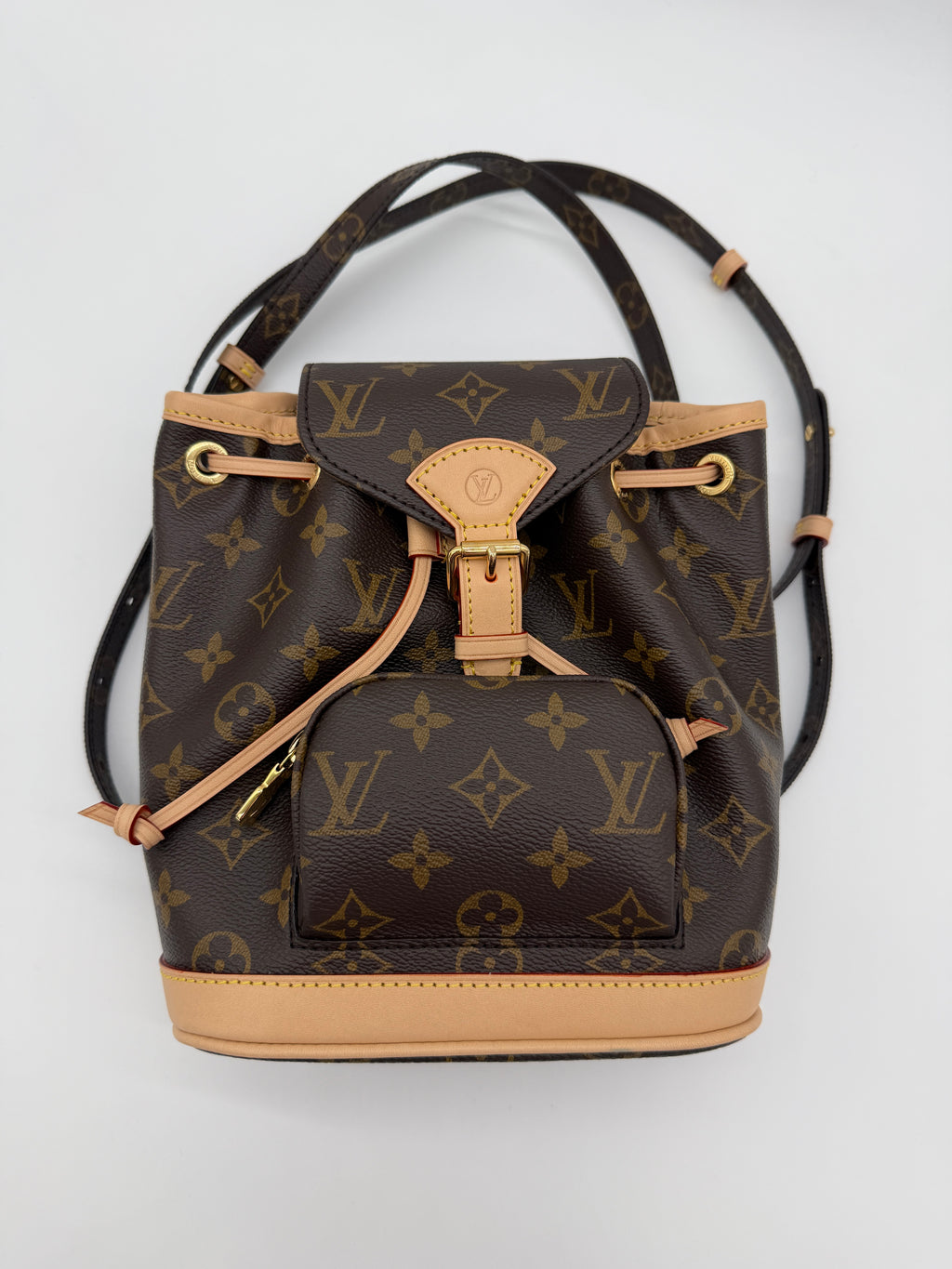 Louis Vuitton Monogram Montsouris Mini Backpack