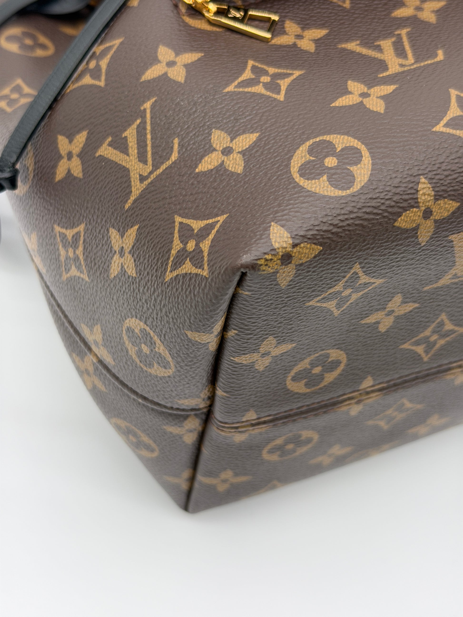 Louis Vuitton Monogram Montsouris Backpack