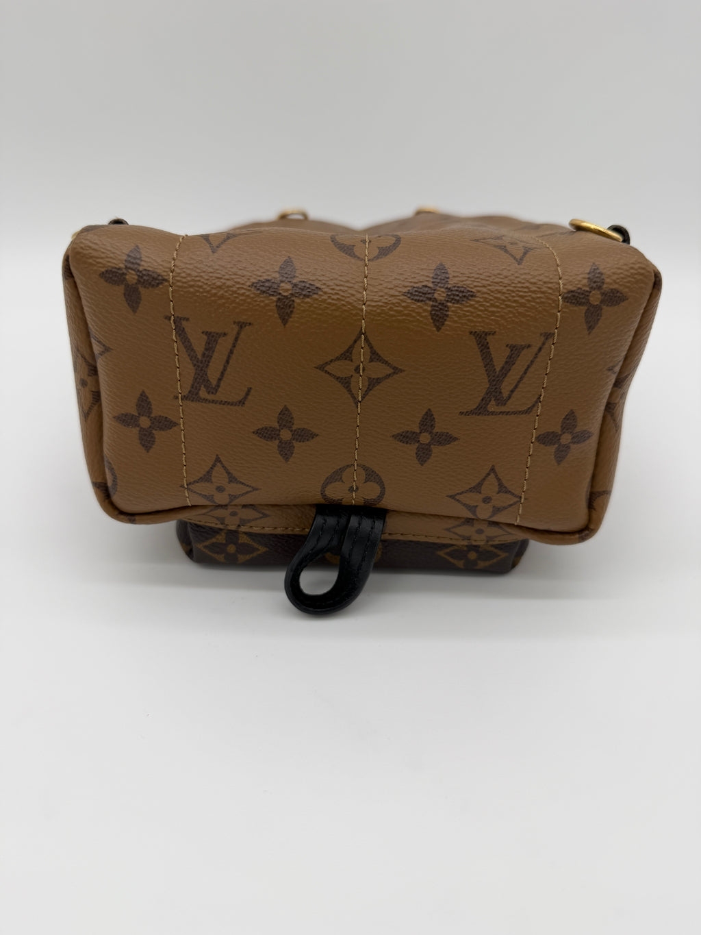 Louis Vuitton Palm Springs Mini Reverse Monogram