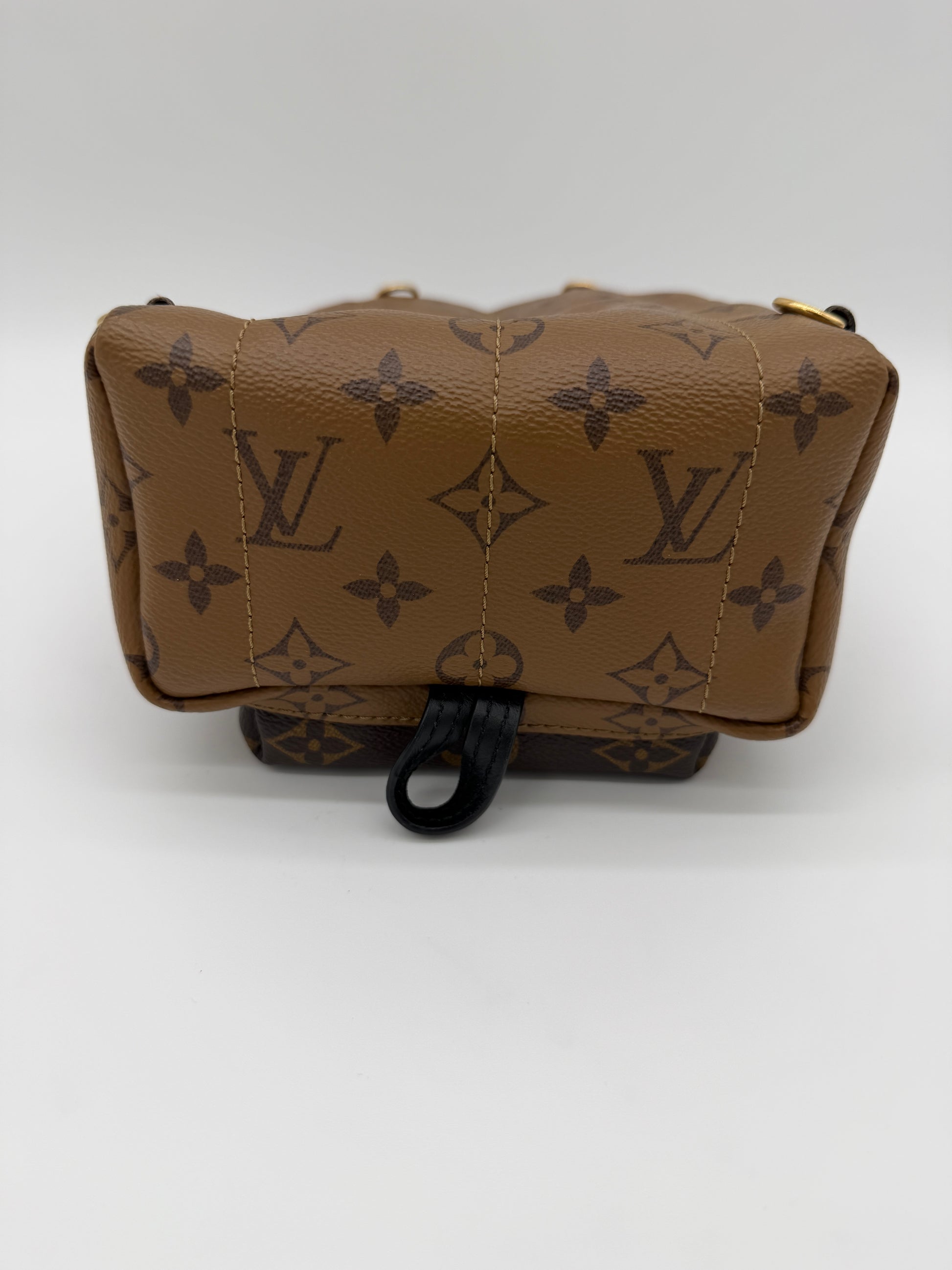 Louis Vuitton Palm Springs Mini Reverse Monogram